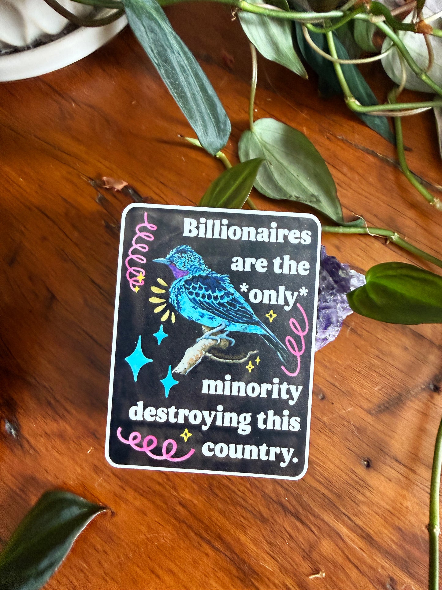 Billionaires are the *only* minority destroying this country: feminist sticker