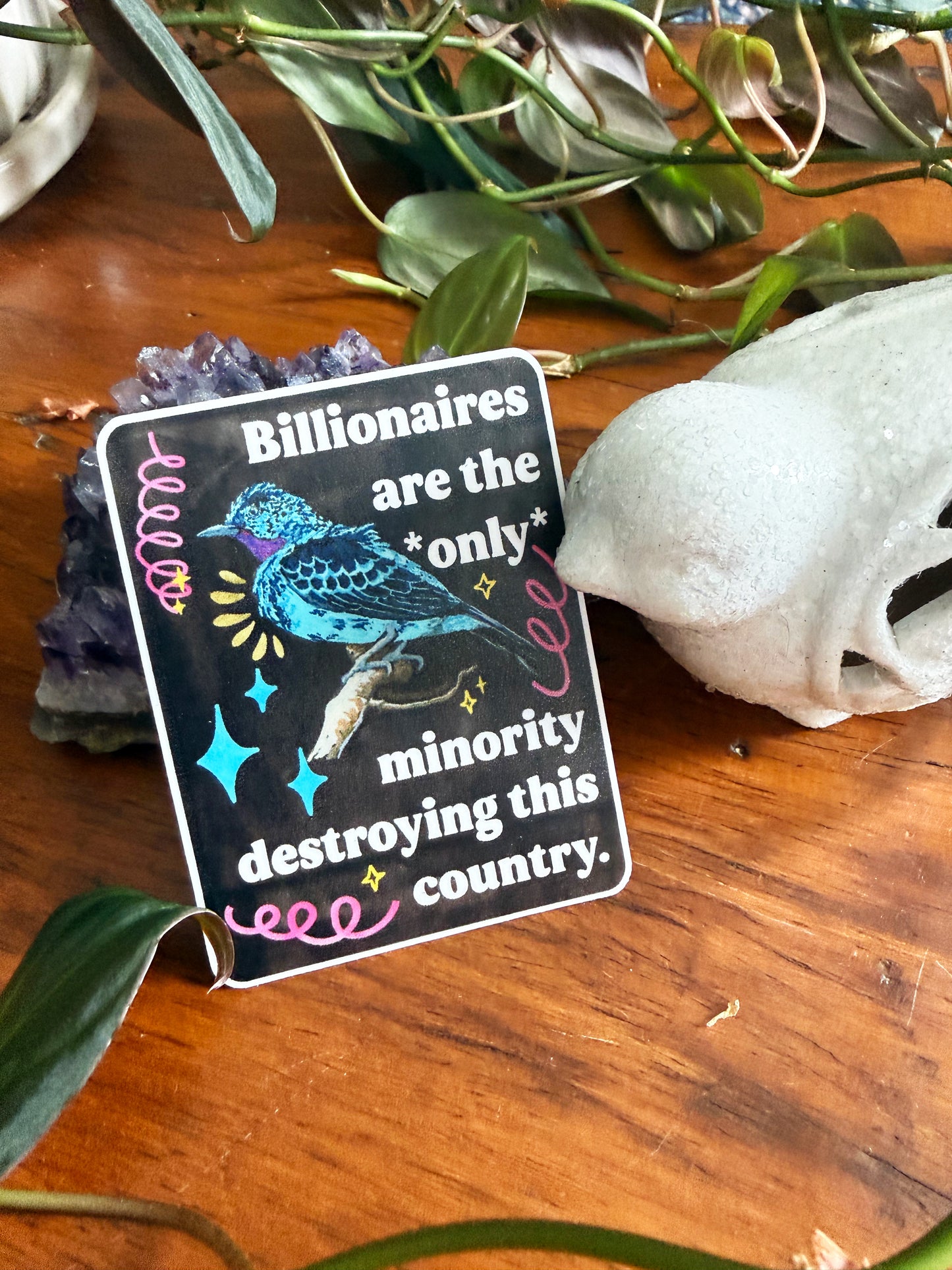 Billionaires are the *only* minority destroying this country: feminist sticker