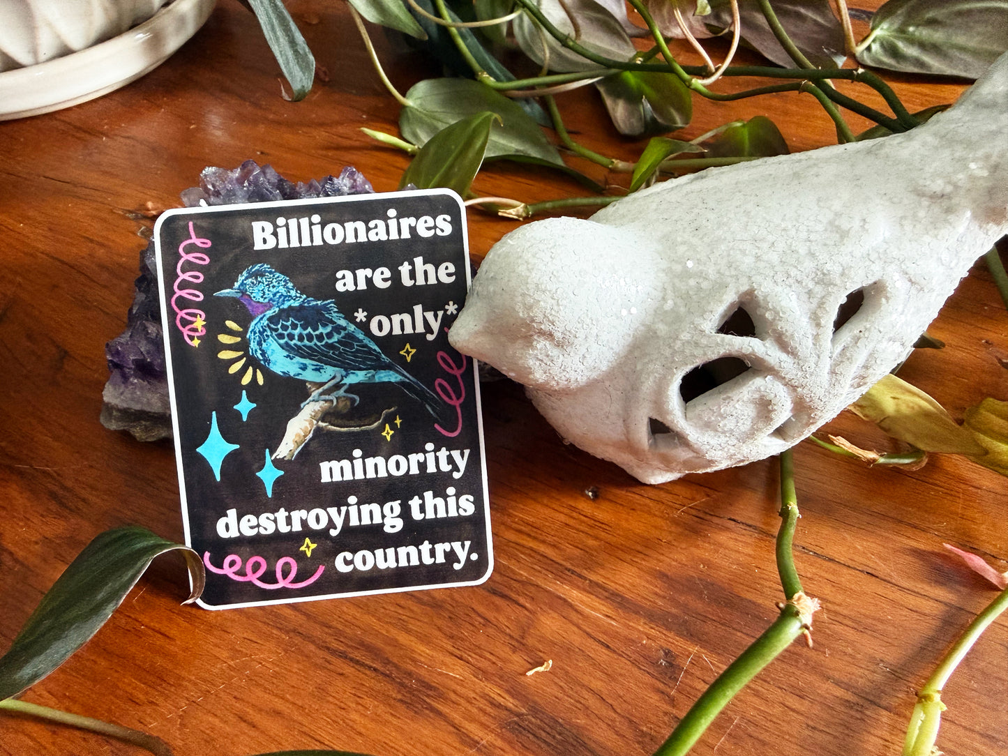 Billionaires are the *only* minority destroying this country: feminist sticker