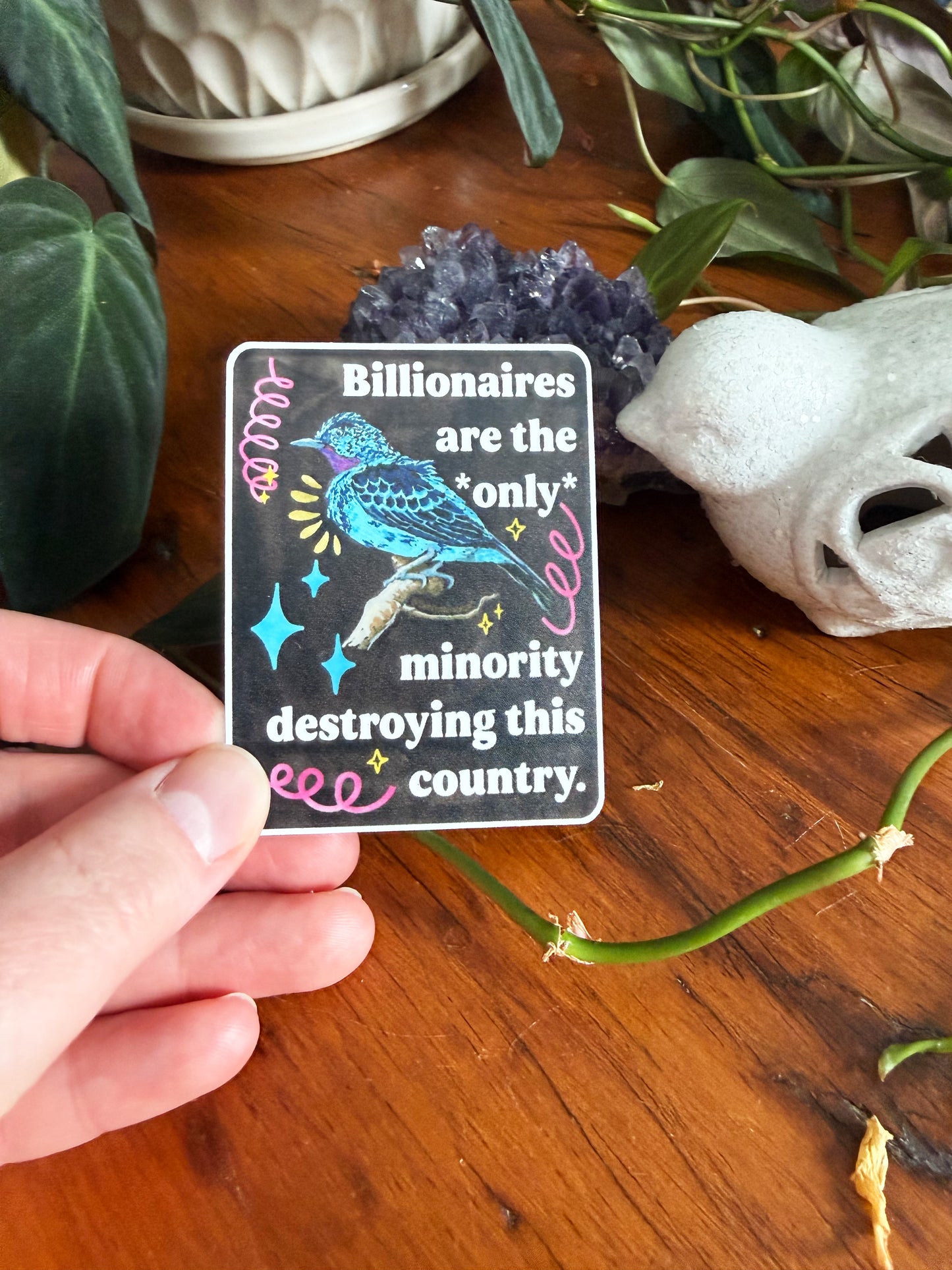 Billionaires are the *only* minority destroying this country: feminist sticker