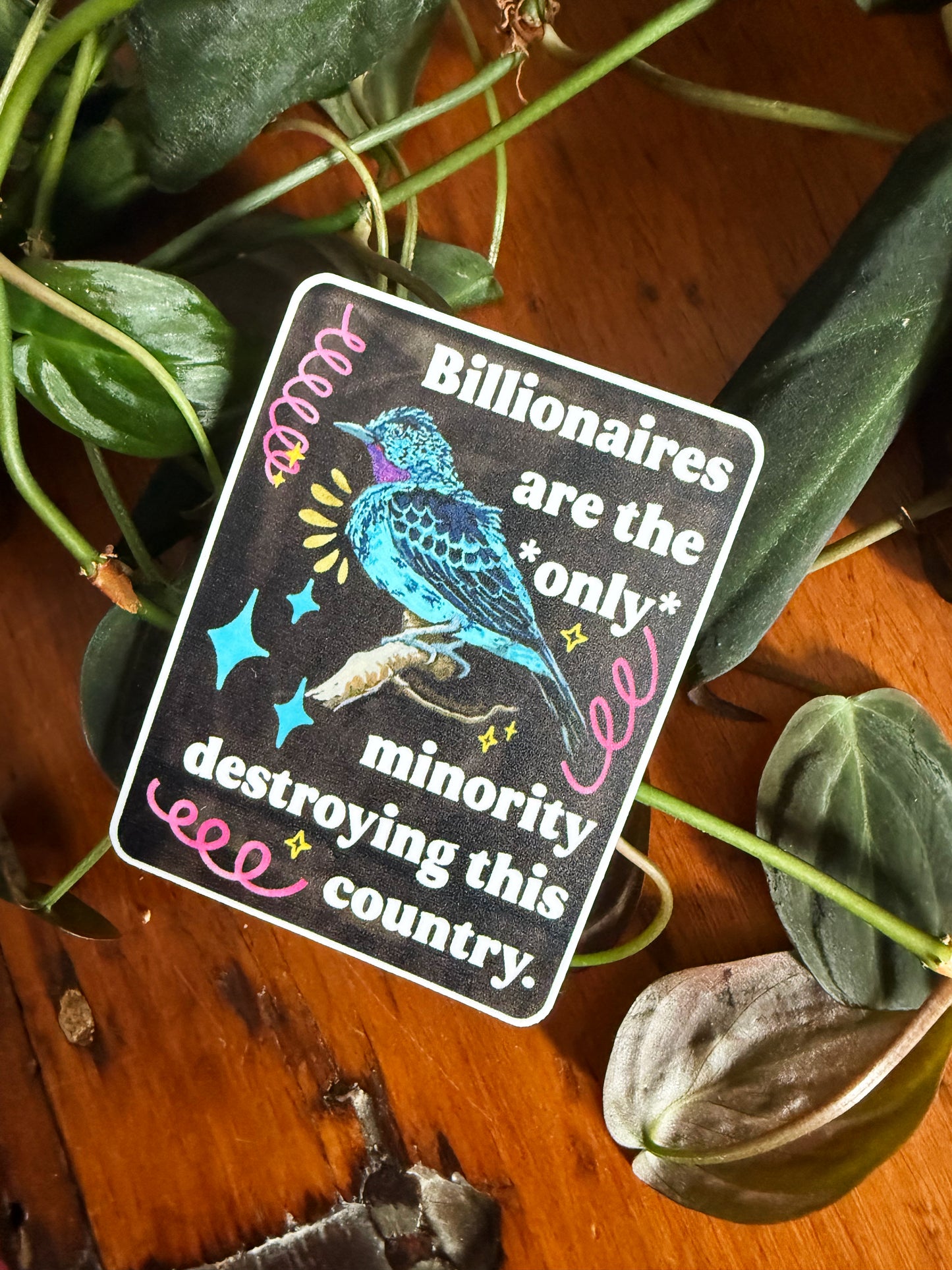 Billionaires are the *only* minority destroying this country: feminist sticker