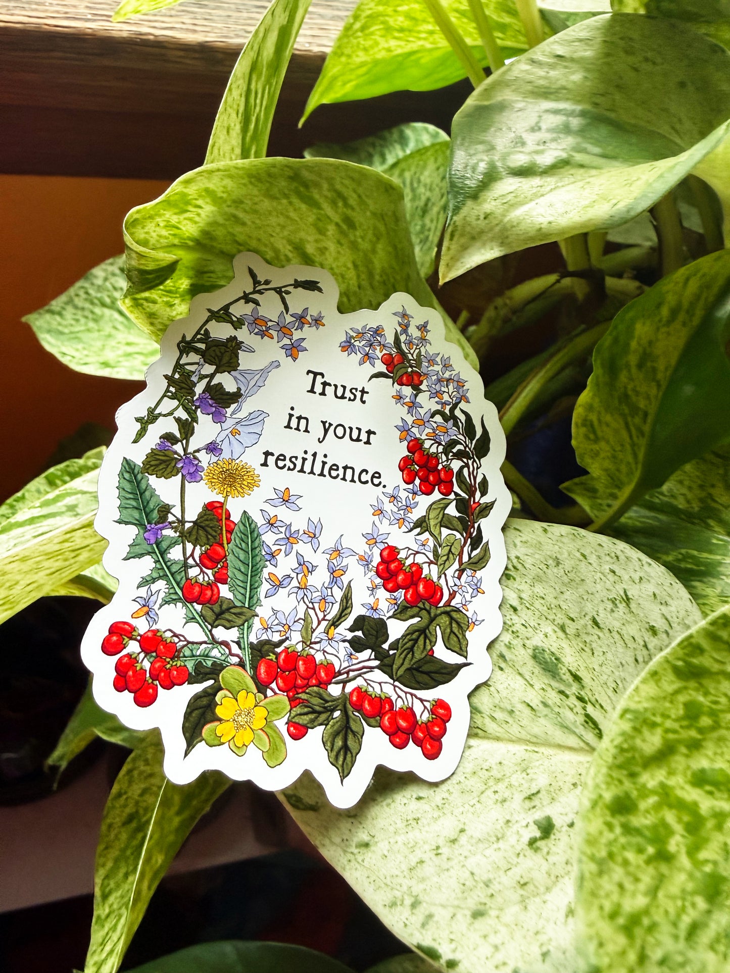 Trust In Your Resilience: Feminist Magnet