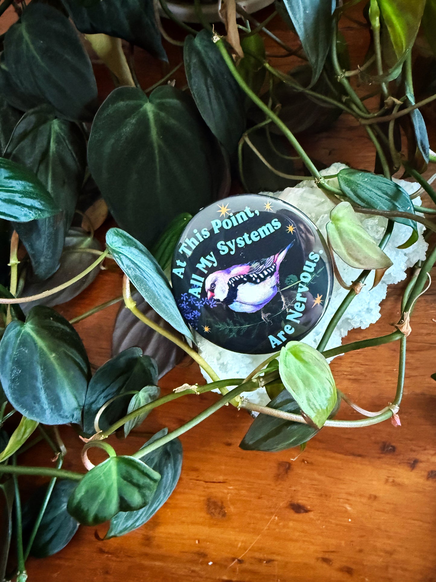At this point all my systems are nervous: Feminist Pinback Button