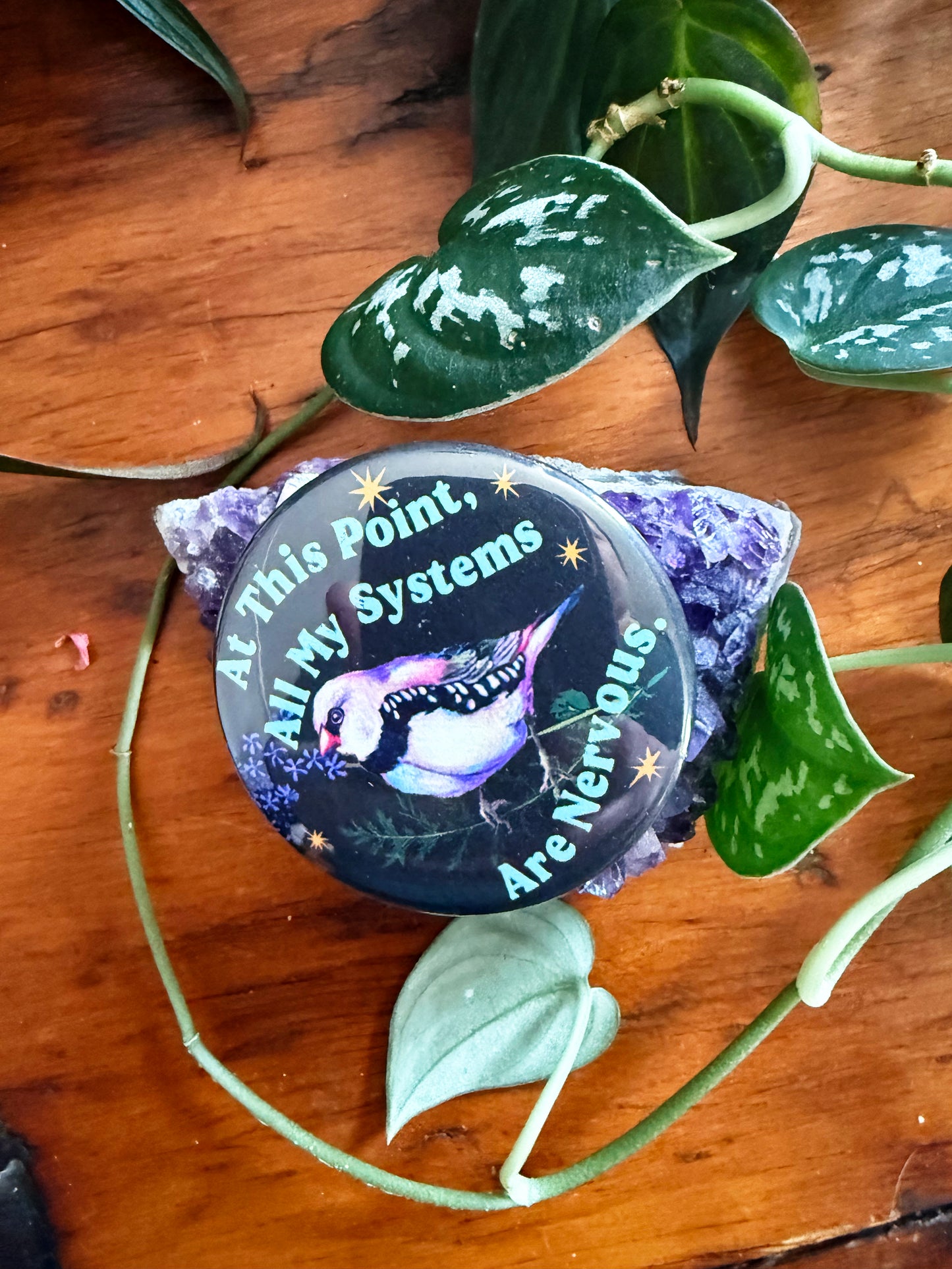 At this point all my systems are nervous: Feminist Pinback Button