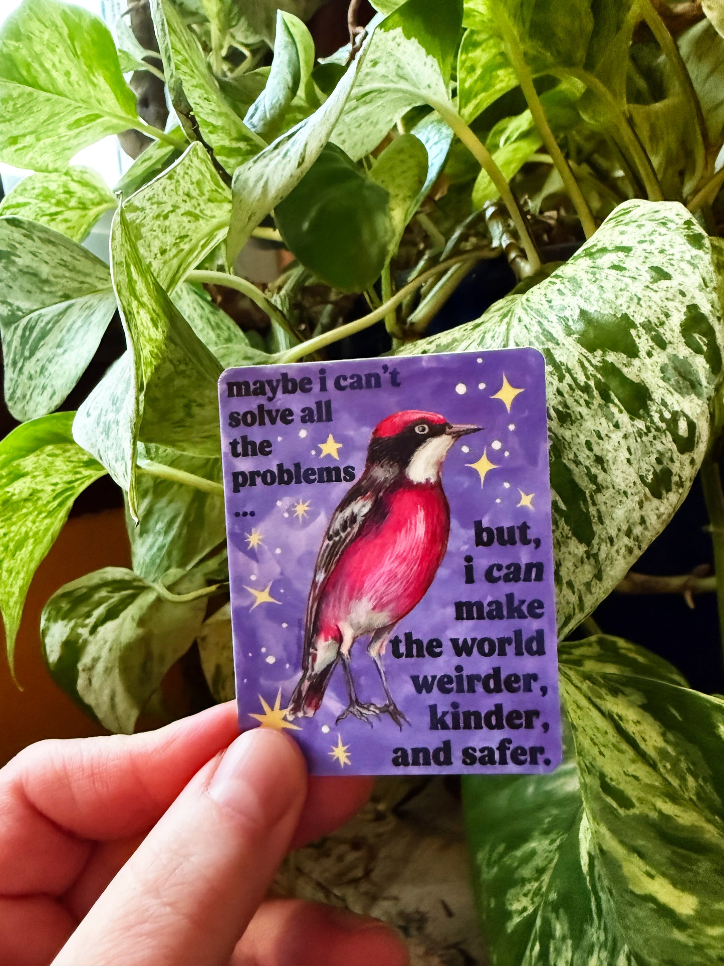 maybe i can't solve all the problems but, I can make the world weirder, kinder, and safer: feminist sticker