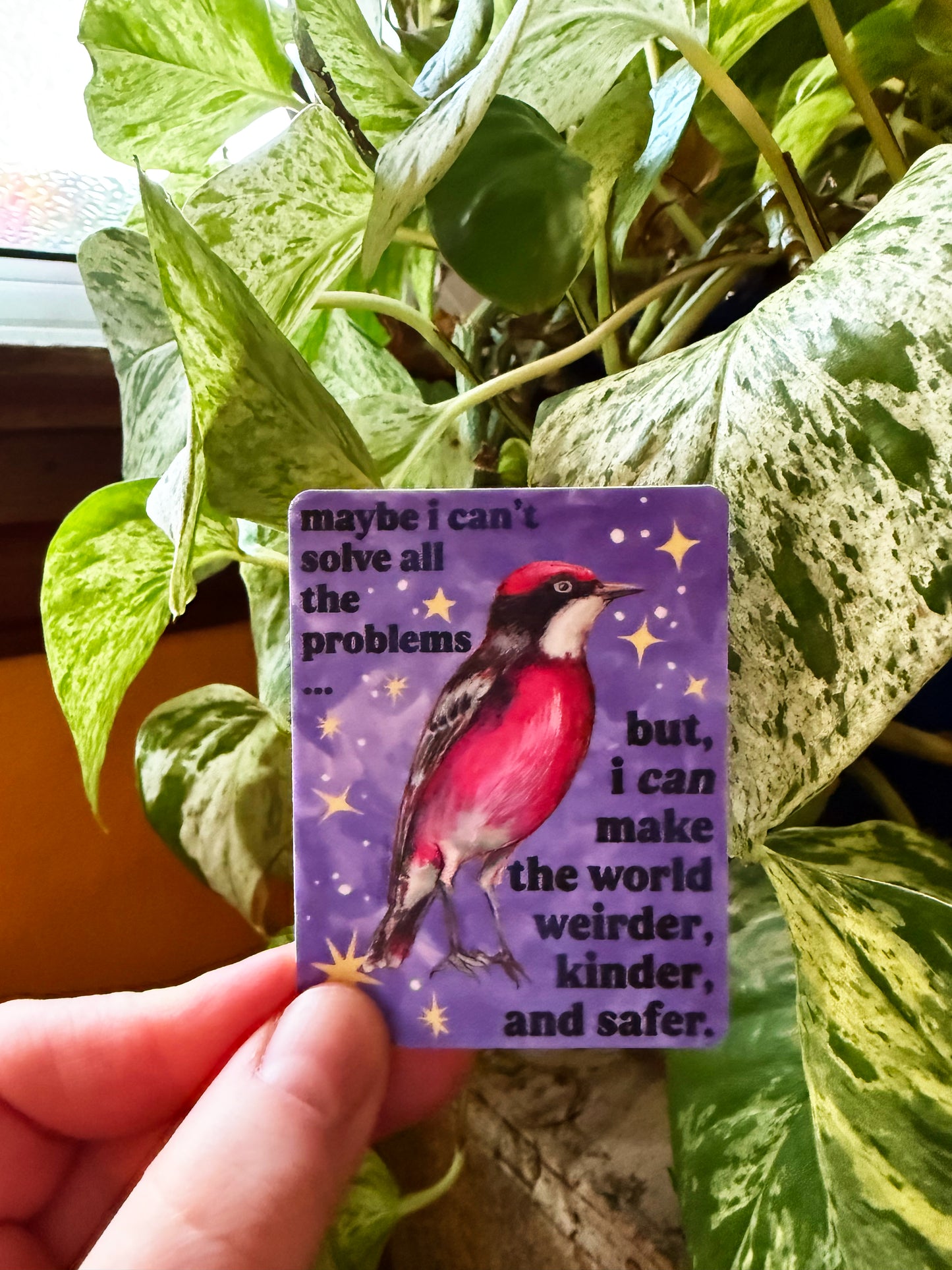 maybe i can't solve all the problems but, I can make the world weirder, kinder, and safer: feminist sticker