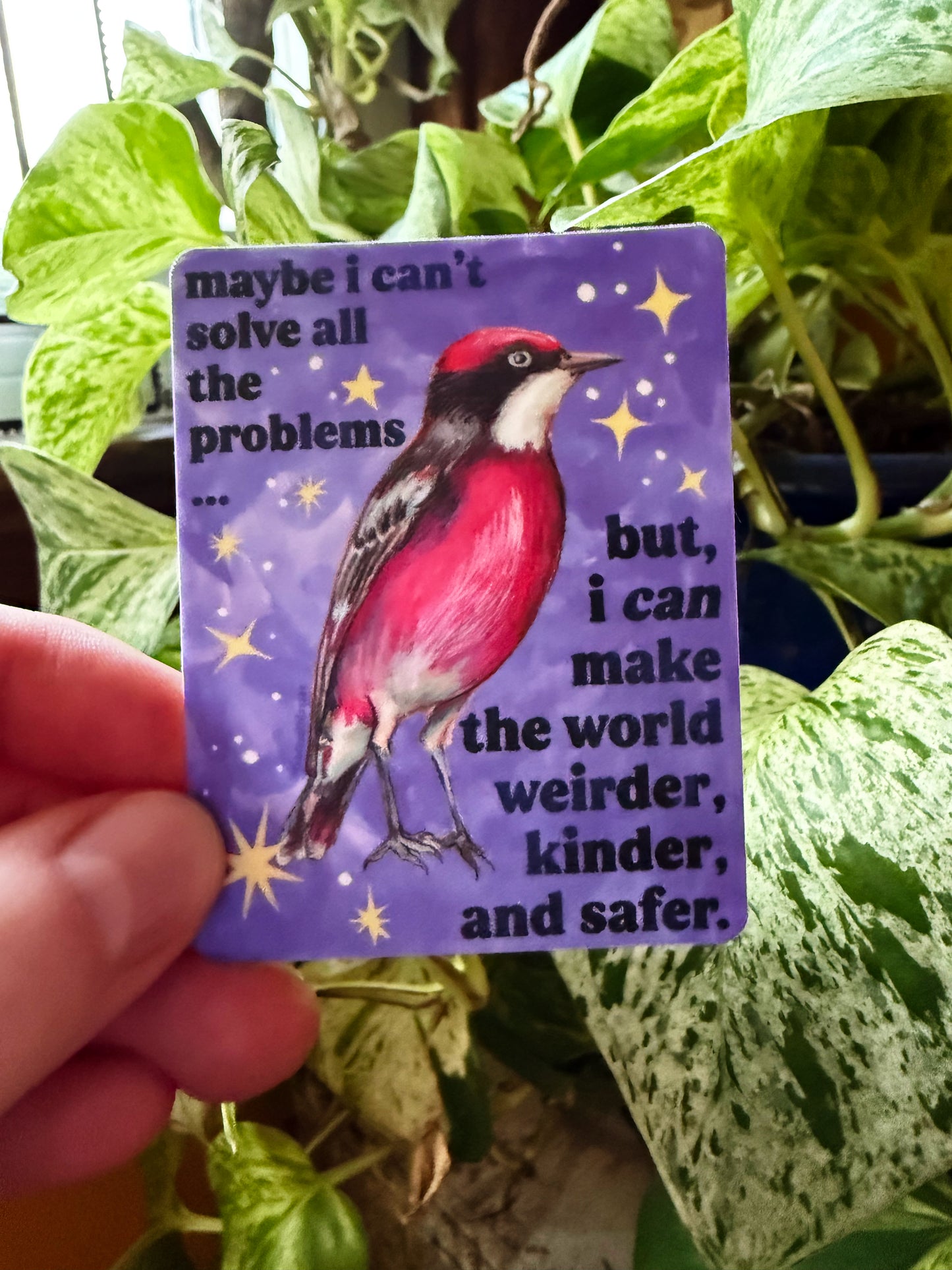 maybe i can't solve all the problems but, I can make the world weirder, kinder, and safer: feminist sticker