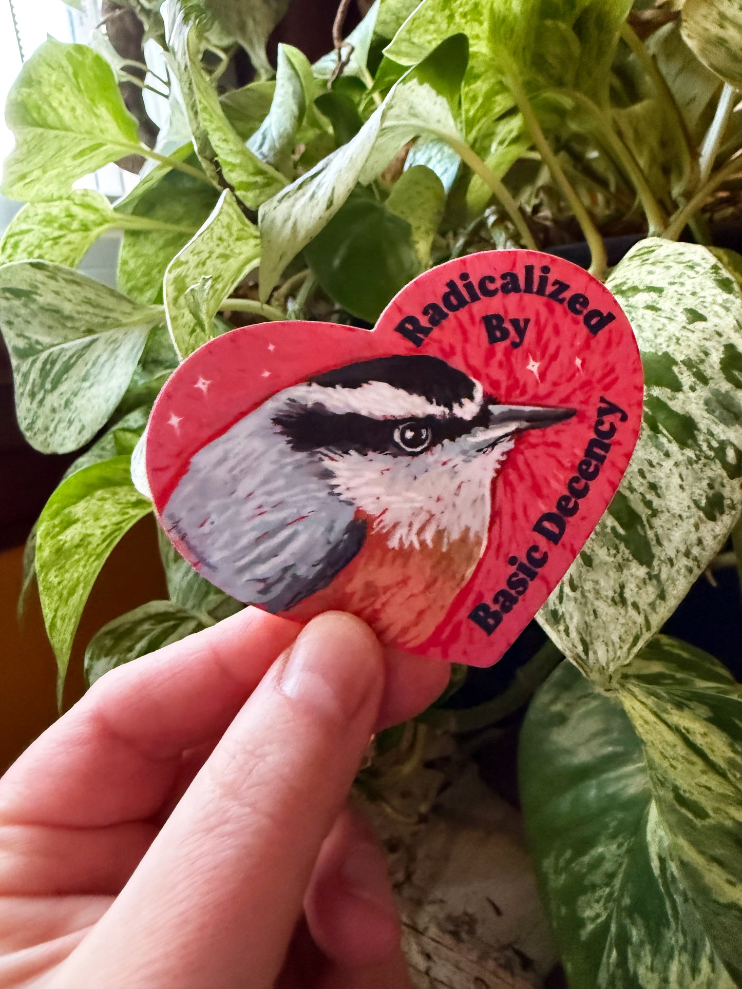 Radicalized By Basic Decency: feminist sticker