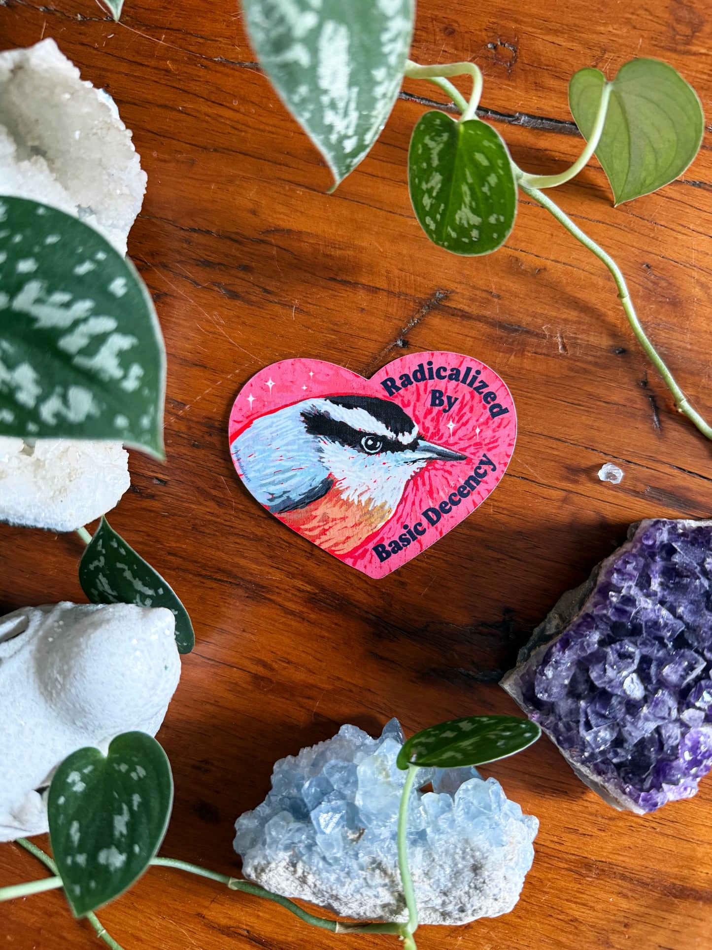 Radicalized By Basic Decency: feminist sticker
