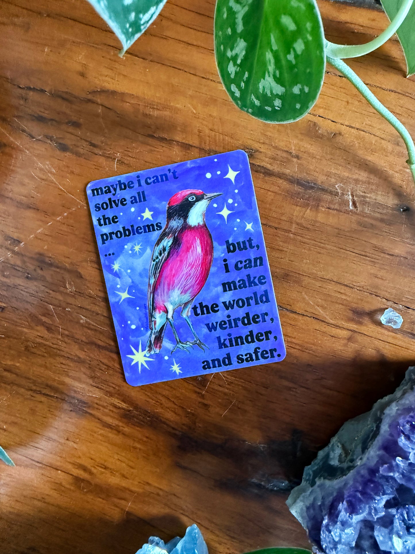 maybe i can't solve all the problems but, I can make the world weirder, kinder, and safer: feminist sticker