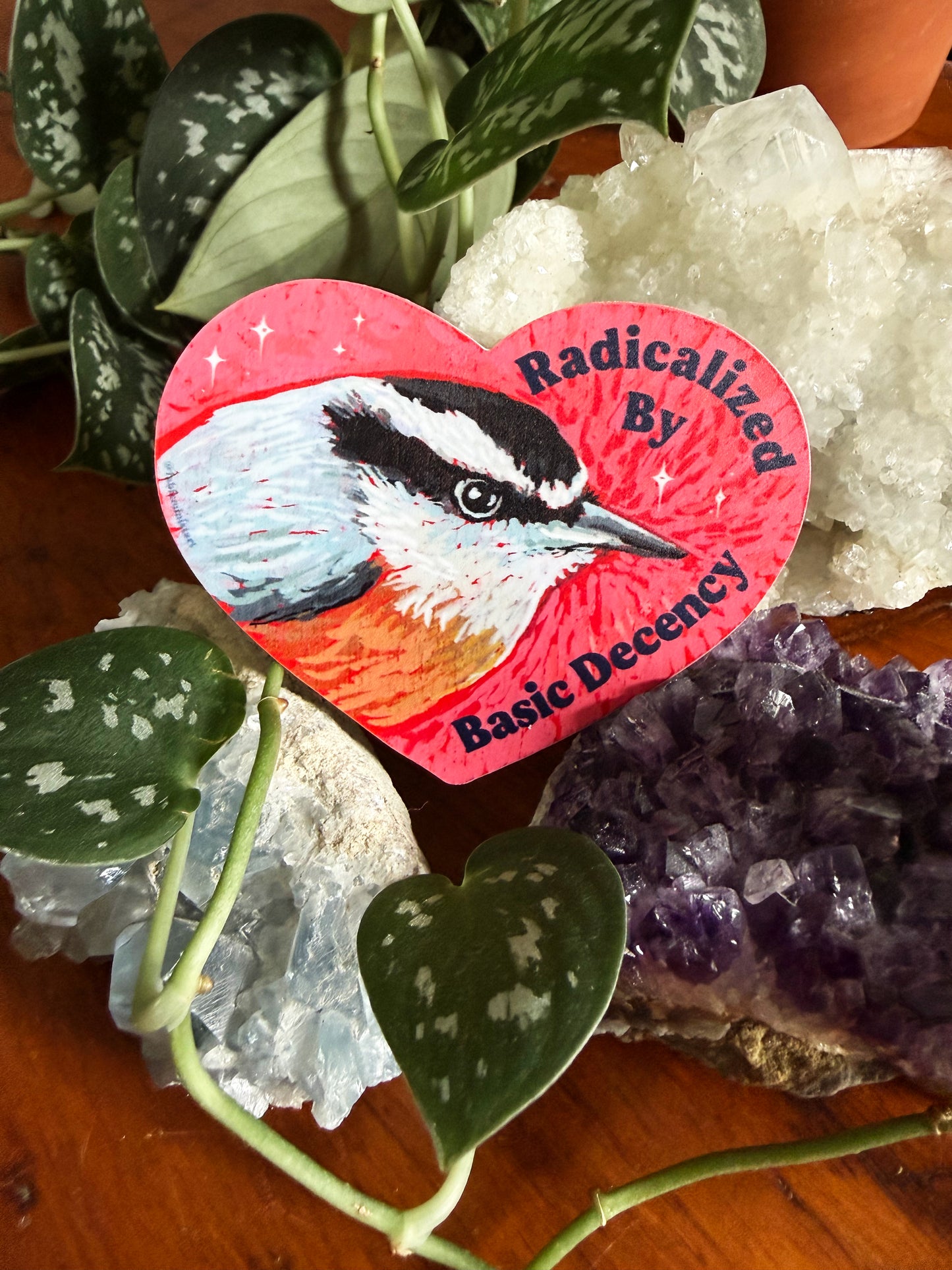 Radicalized By Basic Decency: feminist sticker