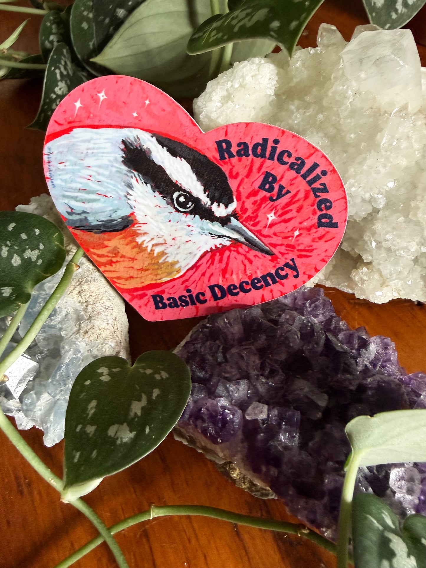 Radicalized By Basic Decency: feminist sticker