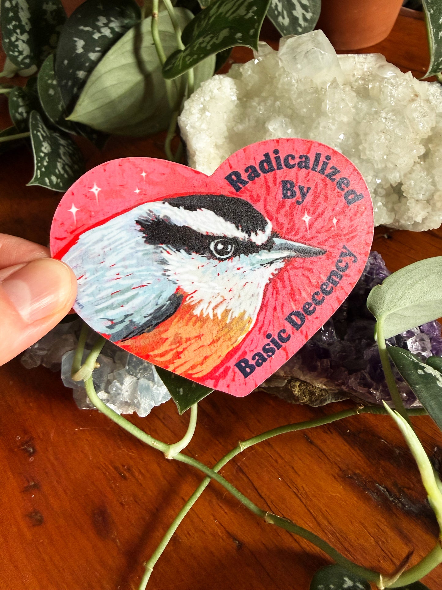Radicalized By Basic Decency: feminist sticker