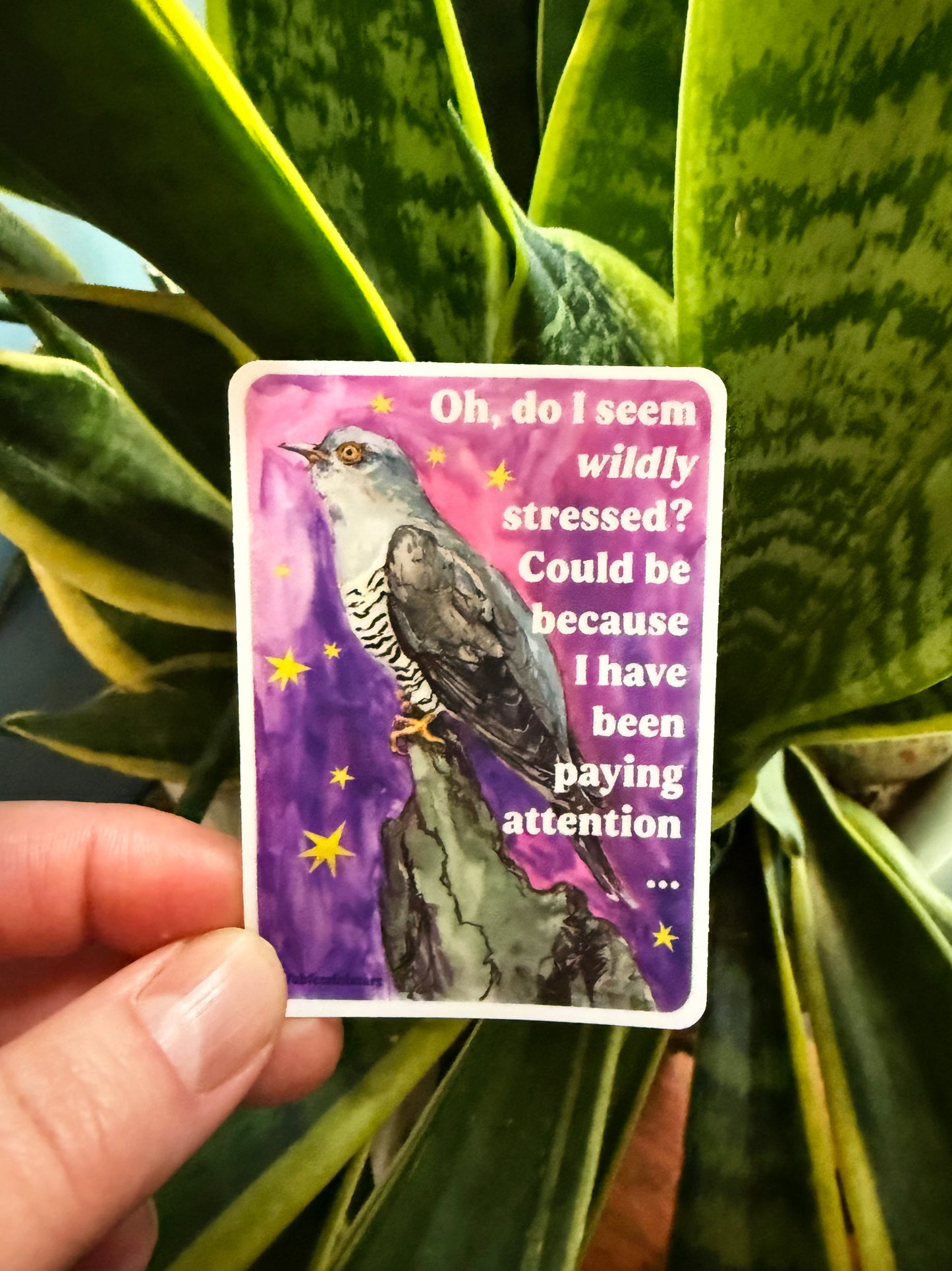 Oh, do I seem wildly stressed? Could be because I have been paying attention: feminist sticker