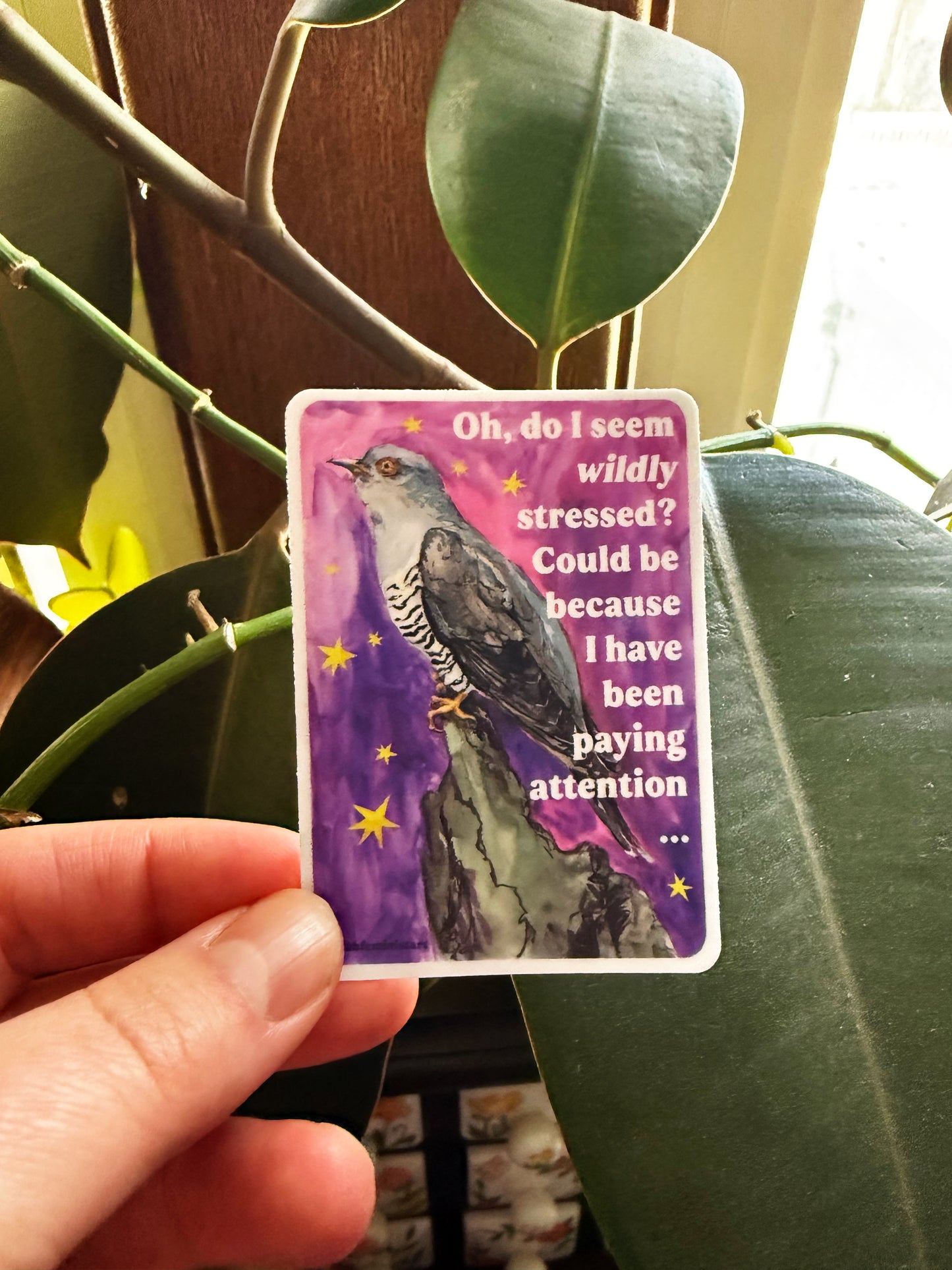 Oh, do I seem wildly stressed? Could be because I have been paying attention: feminist sticker