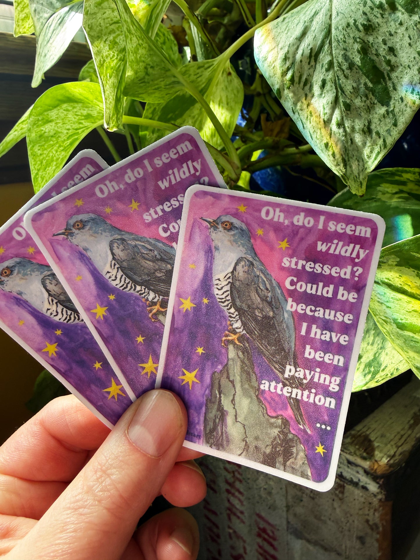 Oh, do I seem wildly stressed? Could be because I have been paying attention: feminist sticker