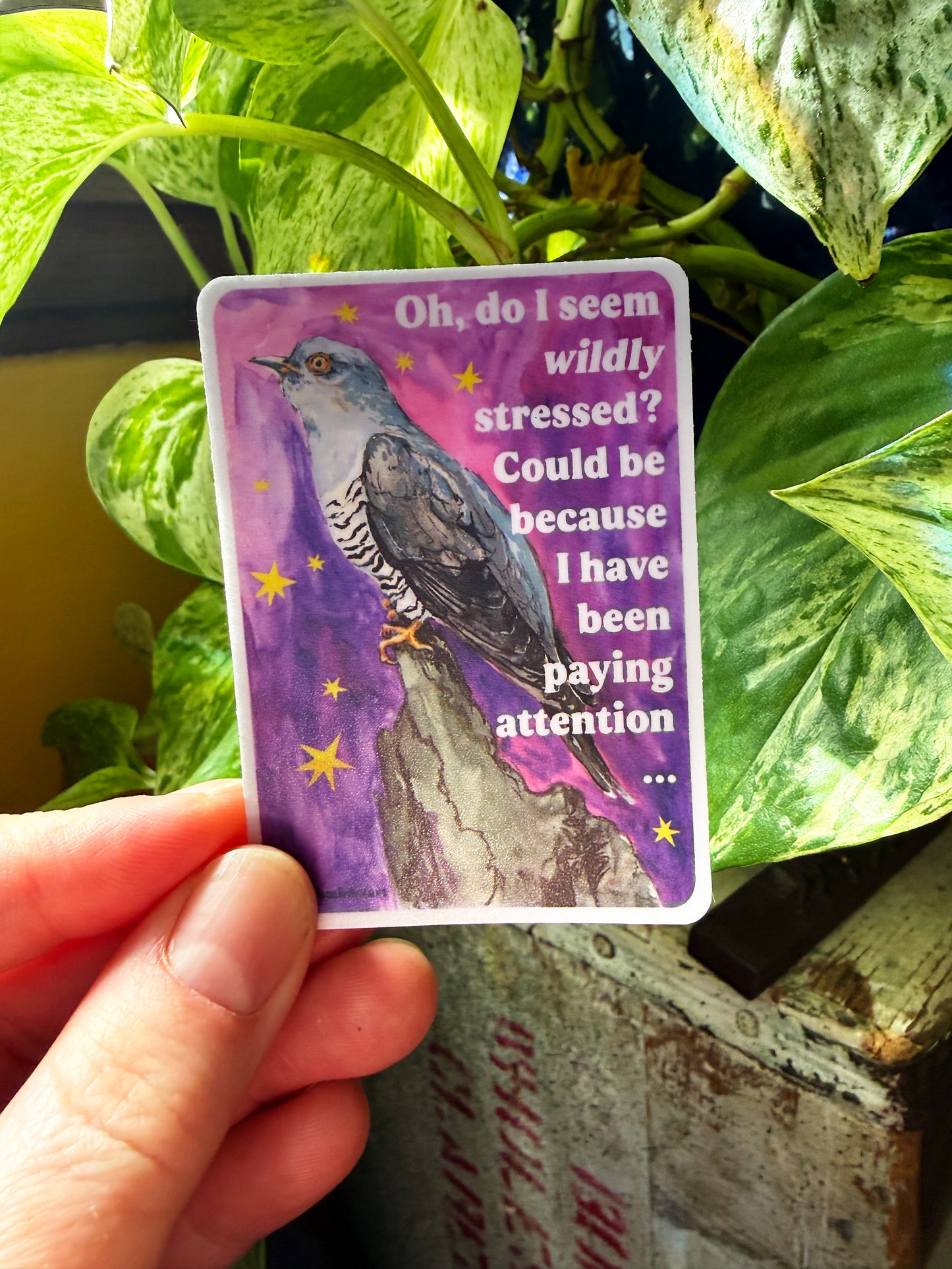 Oh, do I seem wildly stressed? Could be because I have been paying attention: feminist sticker