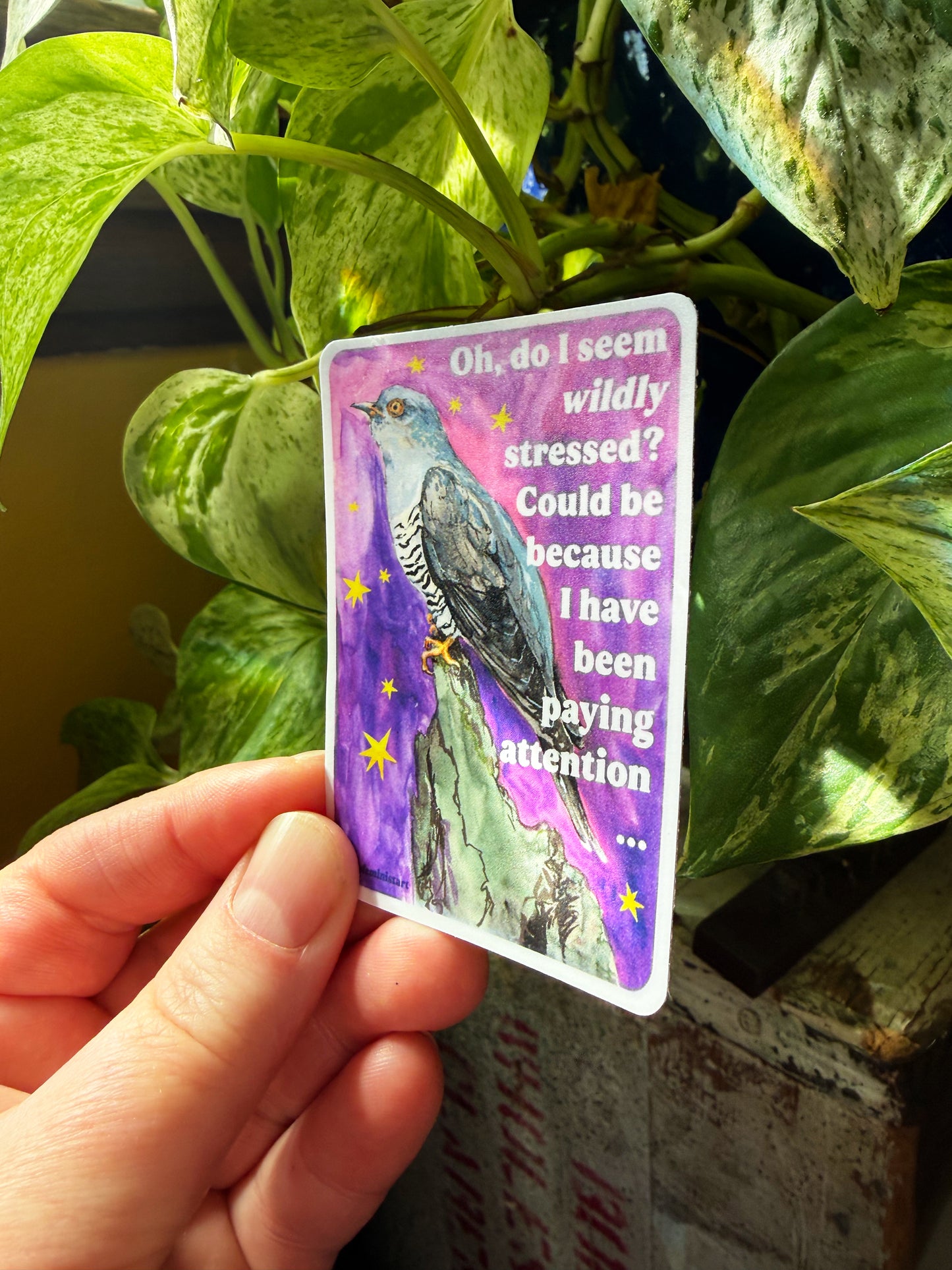 Oh, do I seem wildly stressed? Could be because I have been paying attention: feminist sticker
