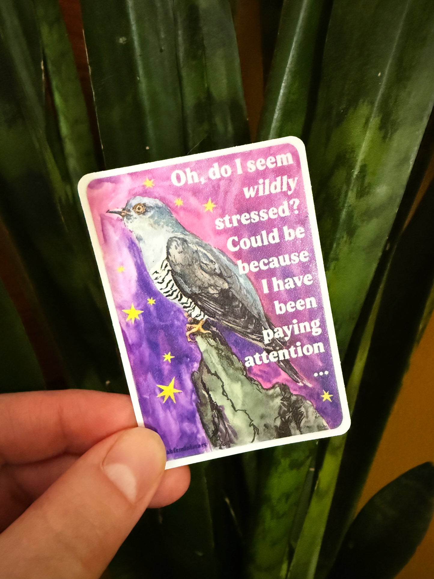 Oh, do I seem wildly stressed? Could be because I have been paying attention: feminist sticker