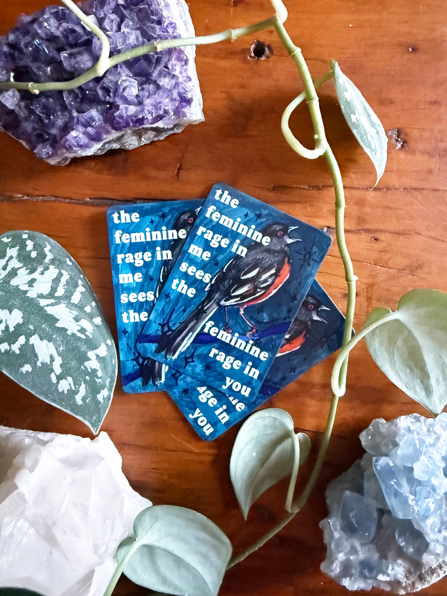 The feminine rage in me sees the feminine rage in you: feminist magnet