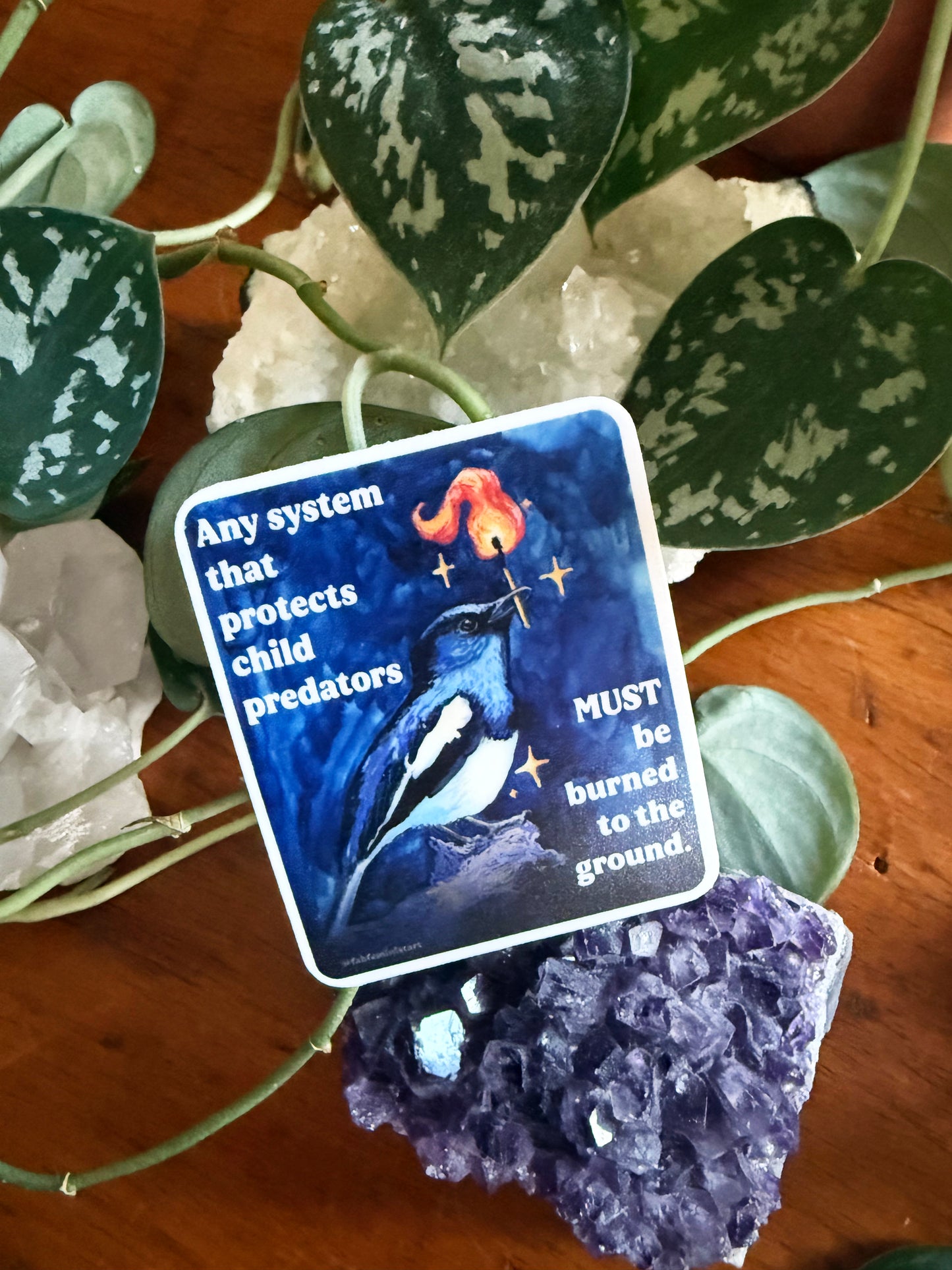 Any system that protects child predators must be burned to the ground: feminist sticker
