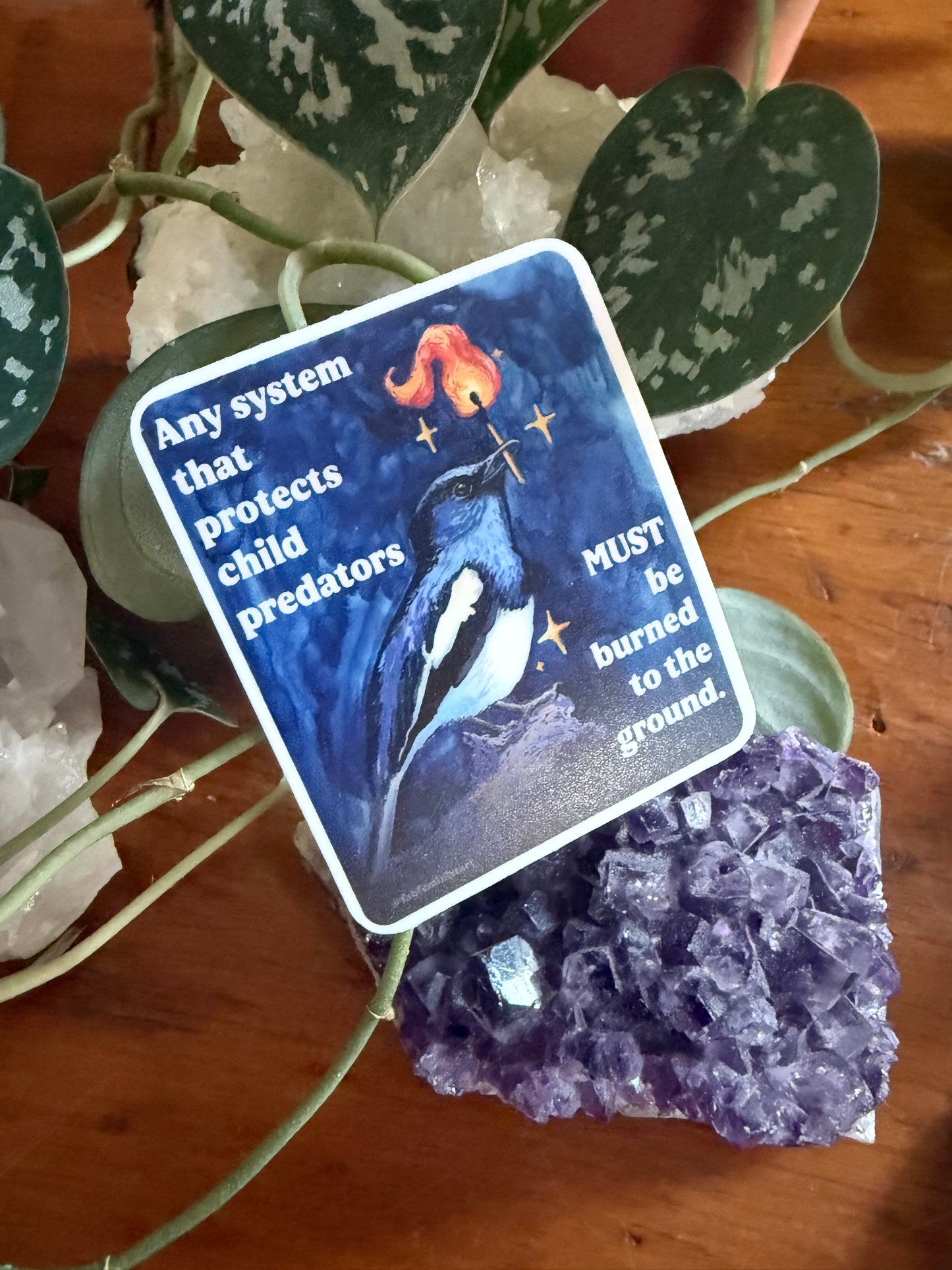 Any system that protects child predators must be burned to the ground: feminist sticker
