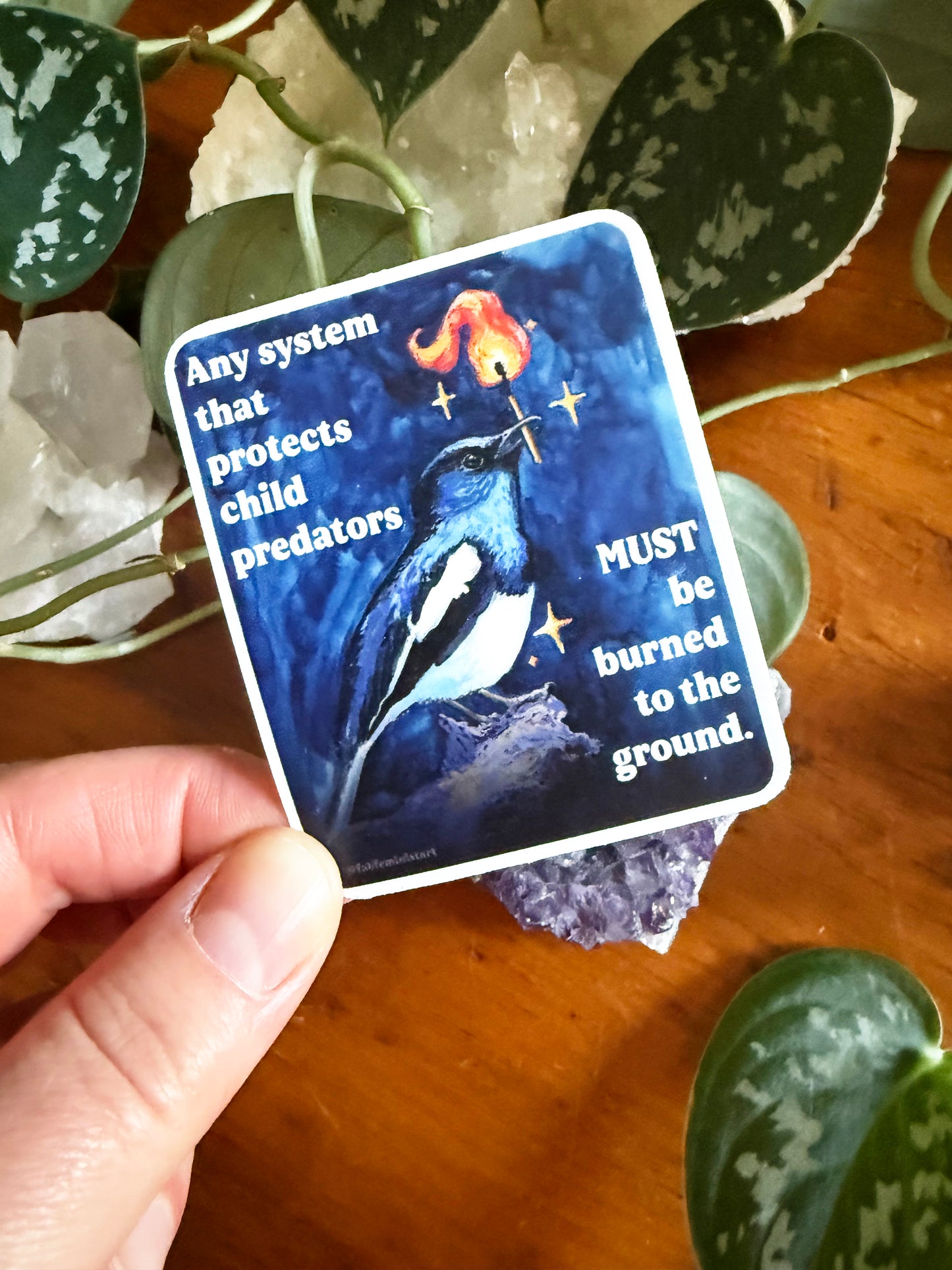 Any system that protects child predators must be burned to the ground: feminist sticker
