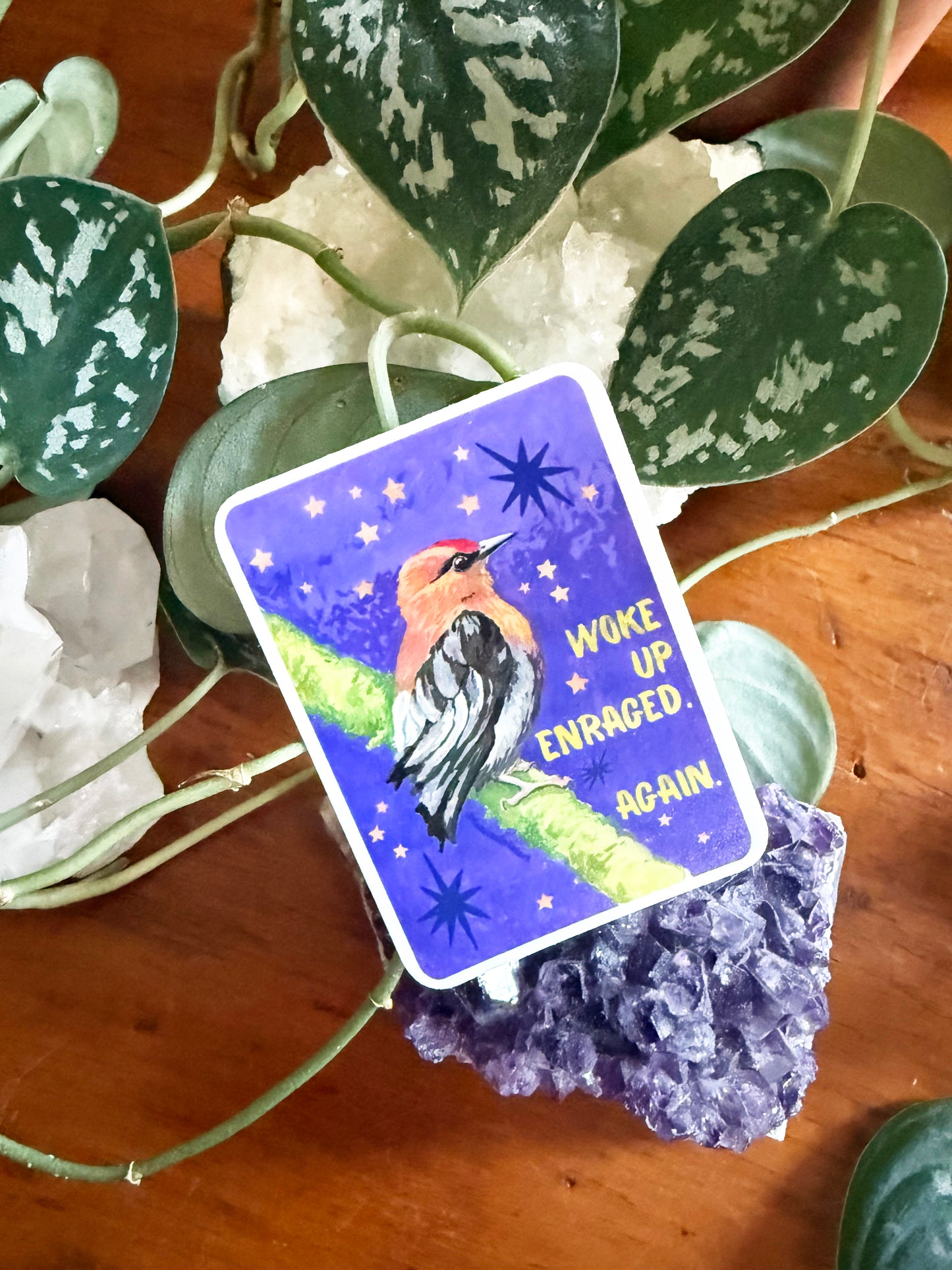 Woke up enraged again: feminist sticker