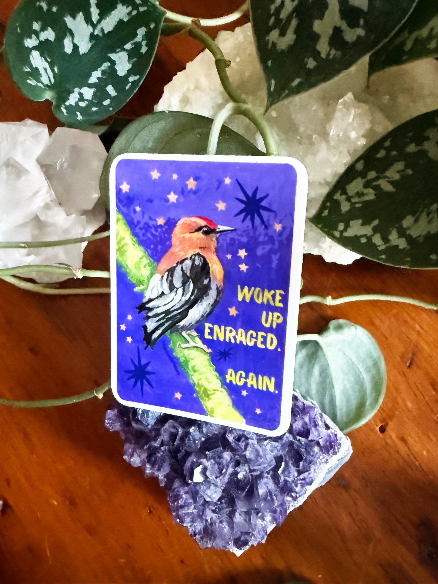 Woke up enraged again: feminist sticker