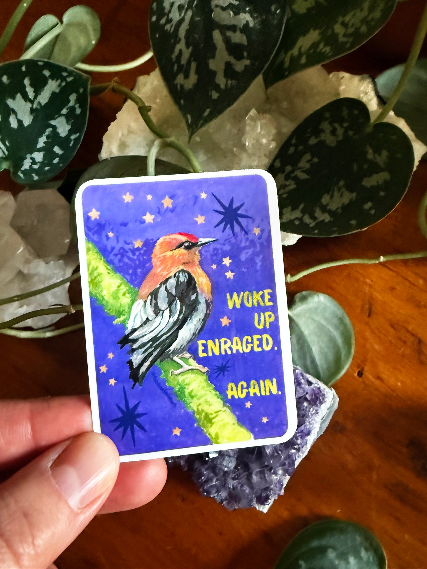 Woke up enraged again: feminist sticker