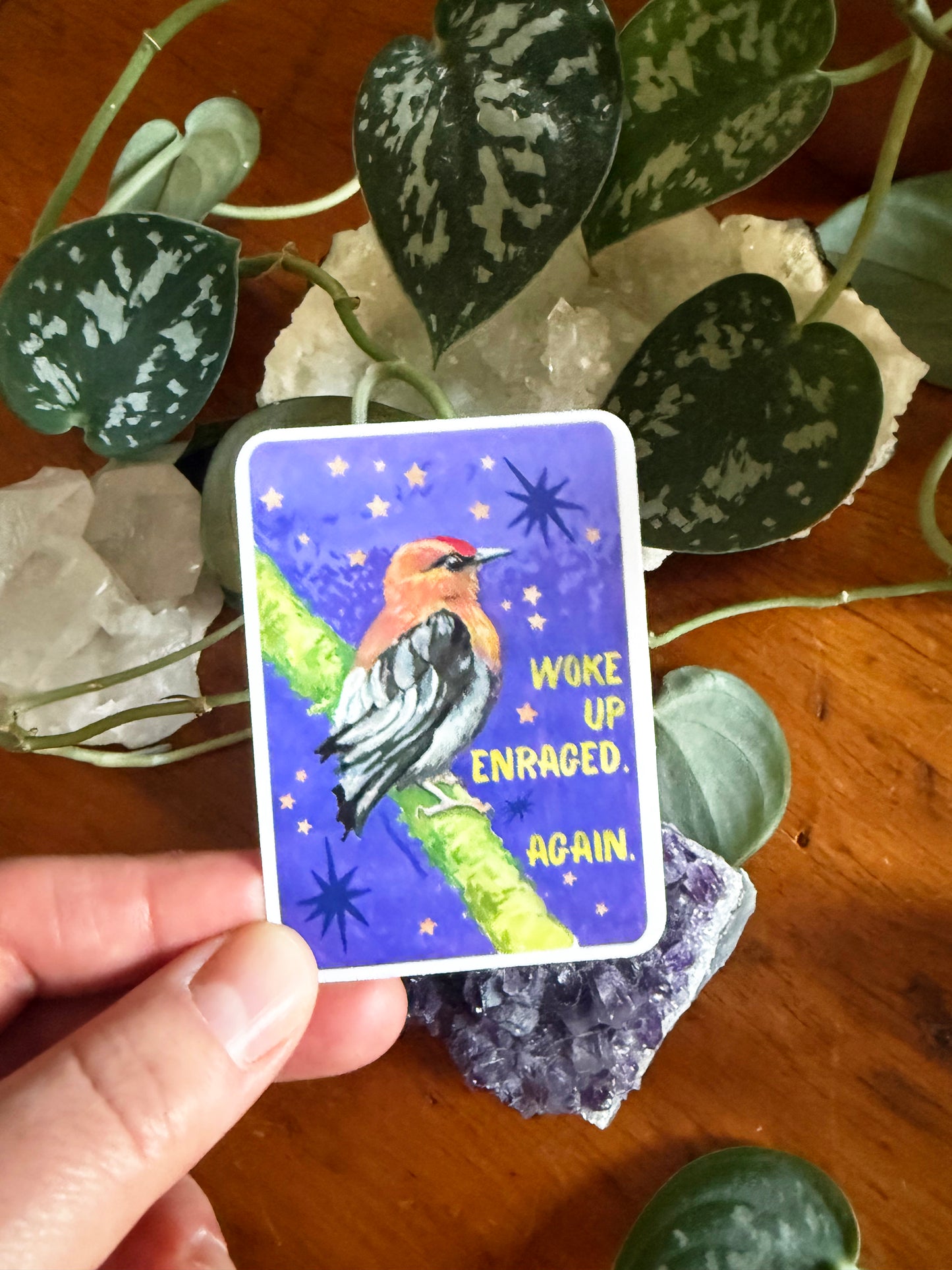 Woke up enraged again: feminist sticker