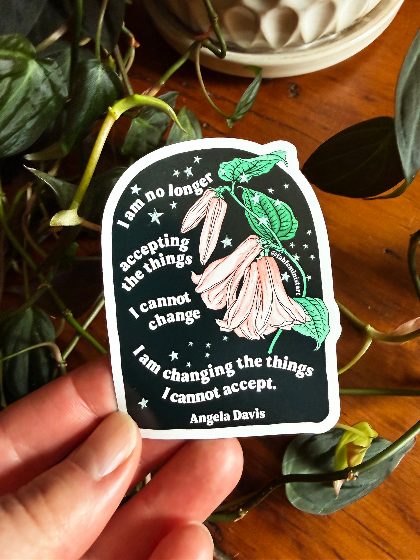 I am no longer accepting the things I cannot change, Angela Davis: Feminist Magnet