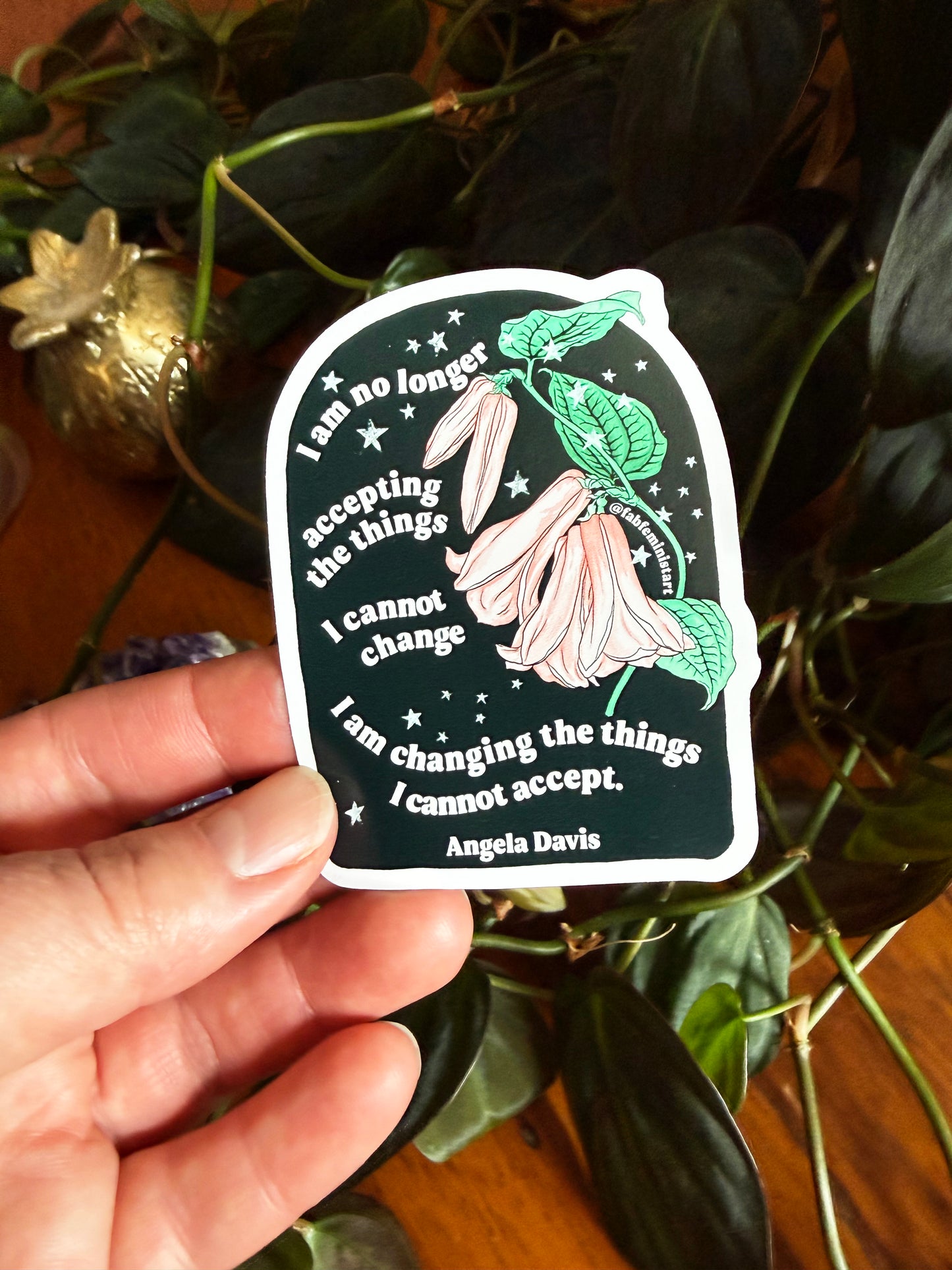 I am no longer accepting the things I cannot change, Angela Davis: Feminist Magnet
