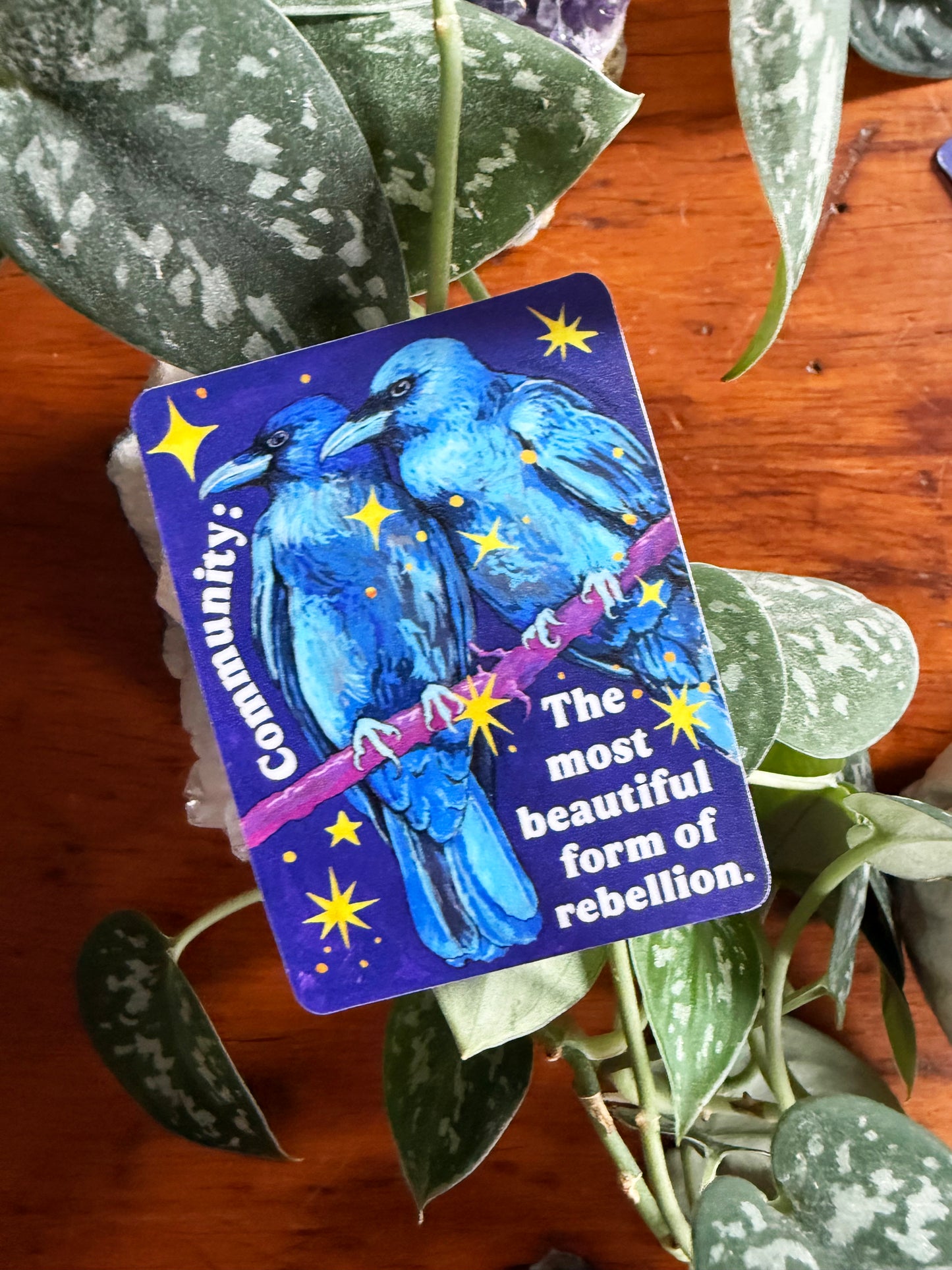 Community is the most beautiful form of rebellion: feminist sticker