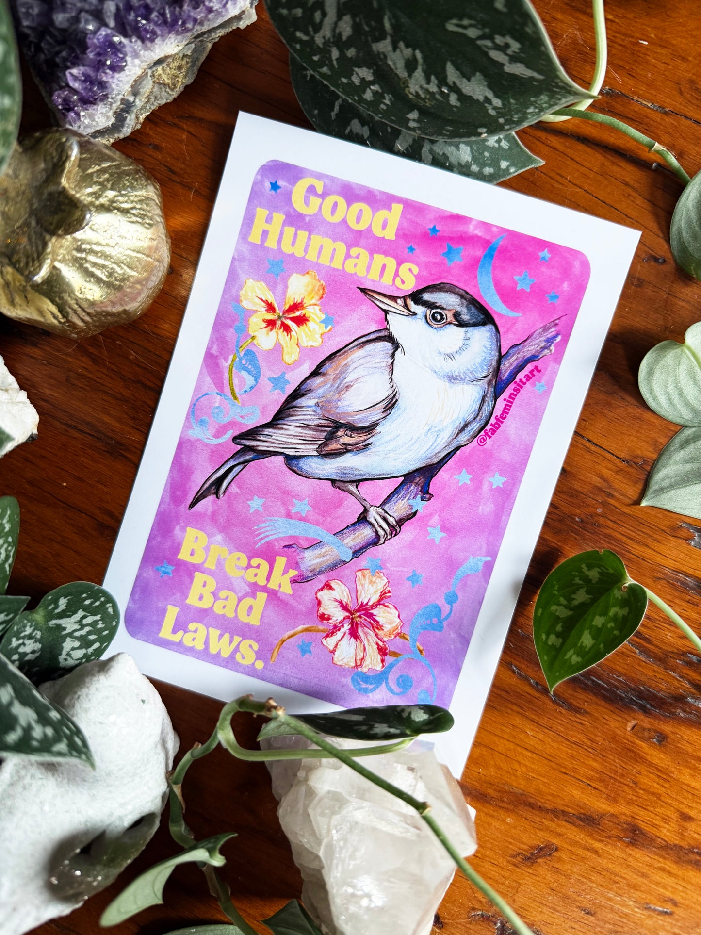 Good Humans Break Bad Laws: Feminist Art Print