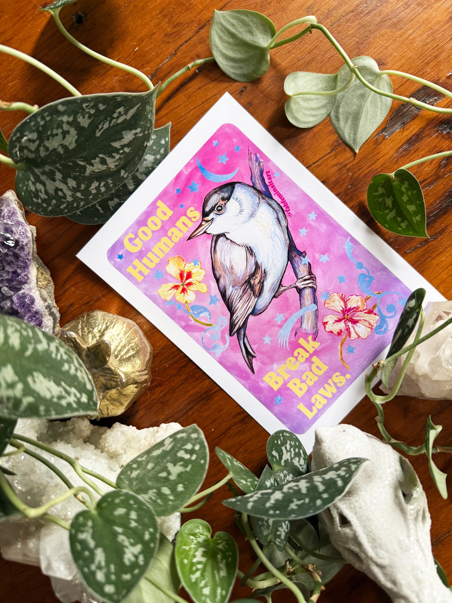 Good Humans Break Bad Laws: Feminist Art Print
