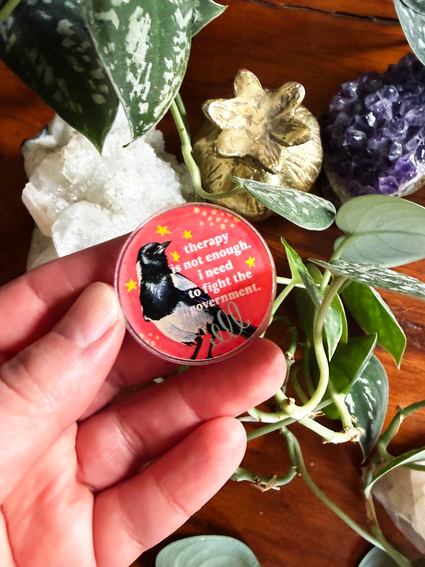 Therapy Is Not Enough I Need To Fight The Government: Lapel Pin