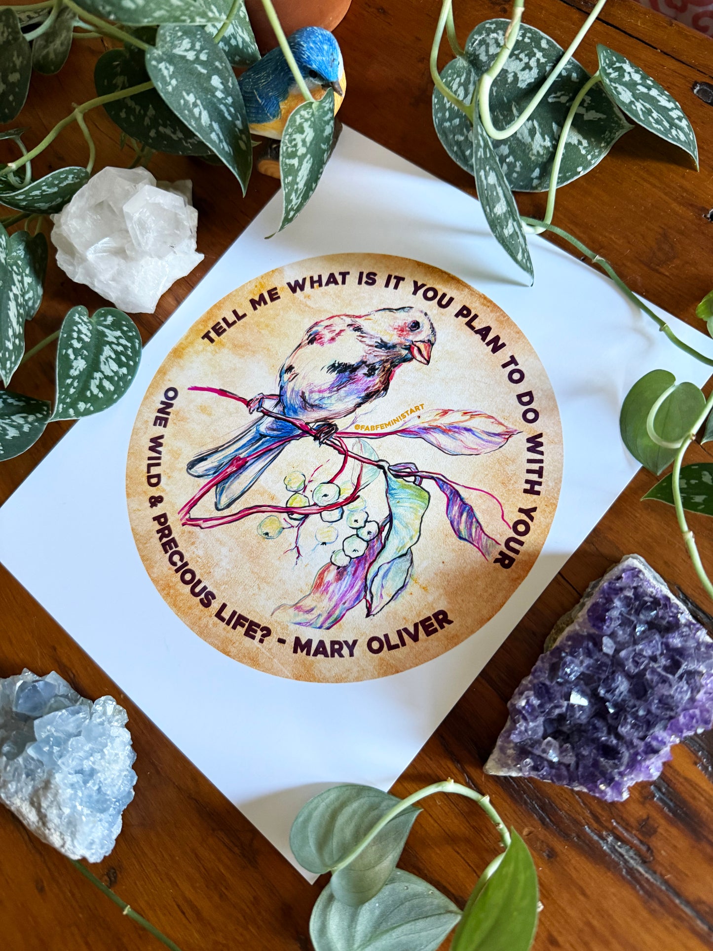 Tell me what is you plant to do with your one wild & precious life, Mary Oliver⁠: Feminist Art Print
