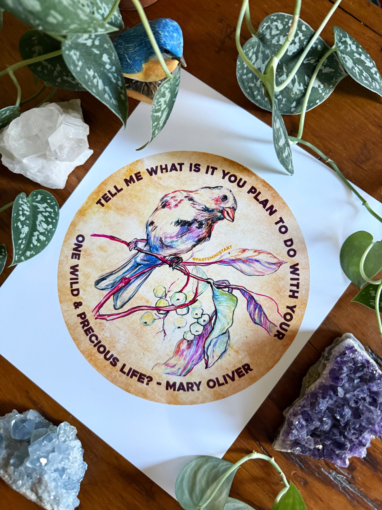 Tell me what is you plant to do with your one wild & precious life, Mary Oliver⁠: Feminist Art Print