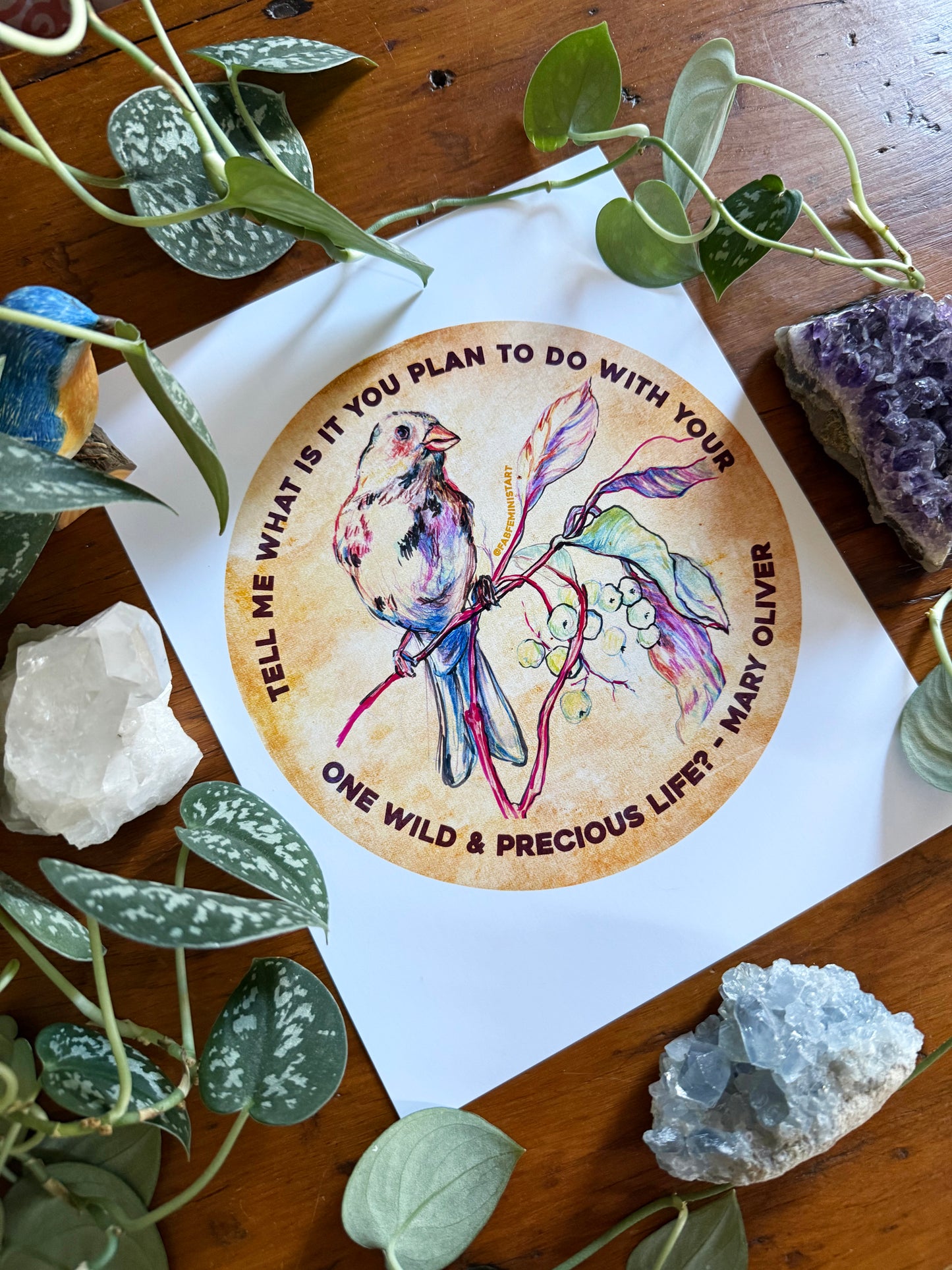 Tell me what is you plant to do with your one wild & precious life, Mary Oliver⁠: Feminist Art Print