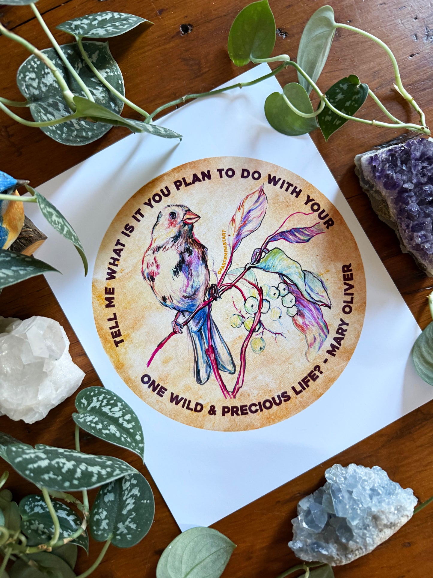 Tell me what is you plant to do with your one wild & precious life, Mary Oliver⁠: Feminist Art Print