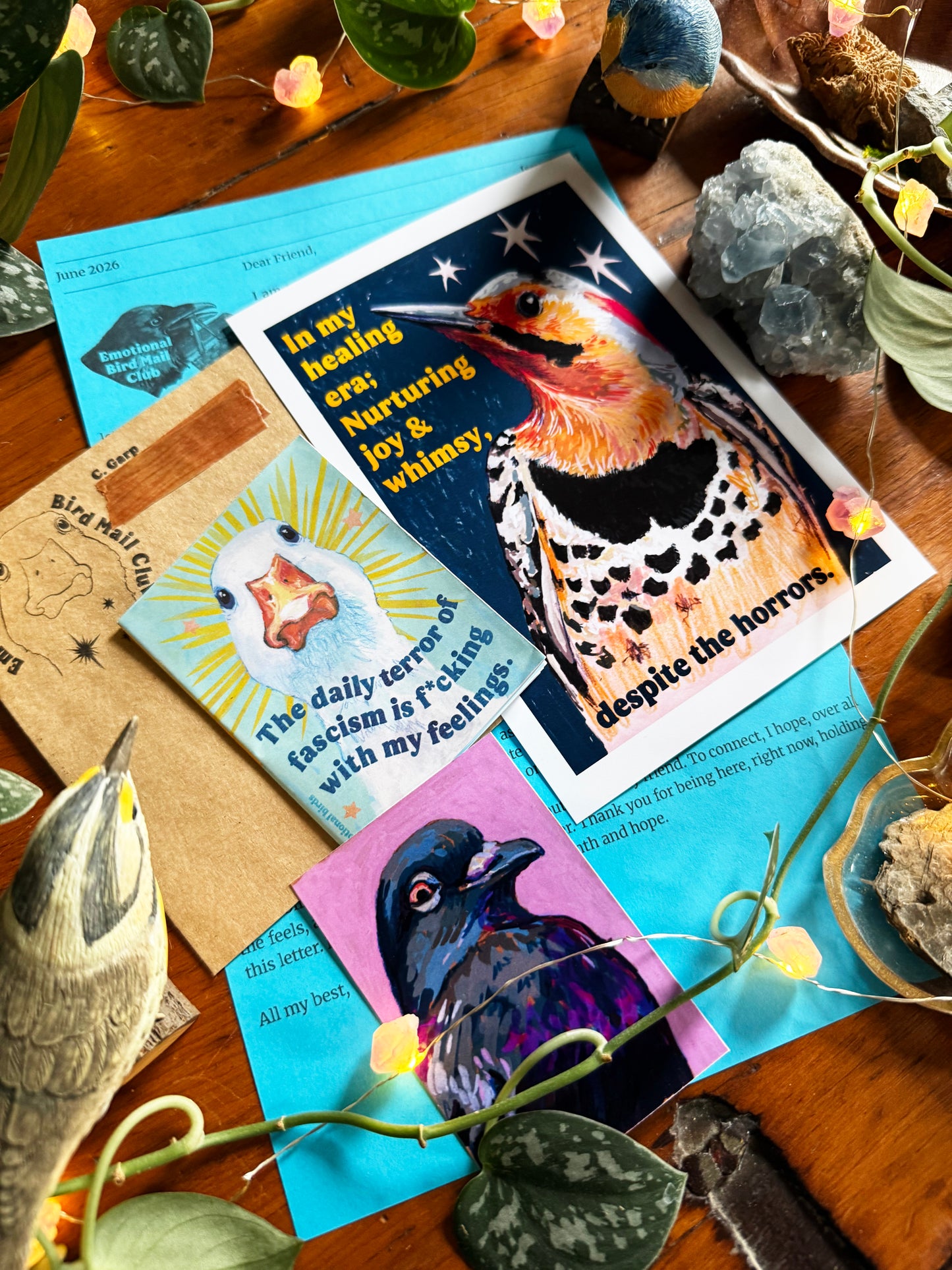 Emotional Birds Mail Club