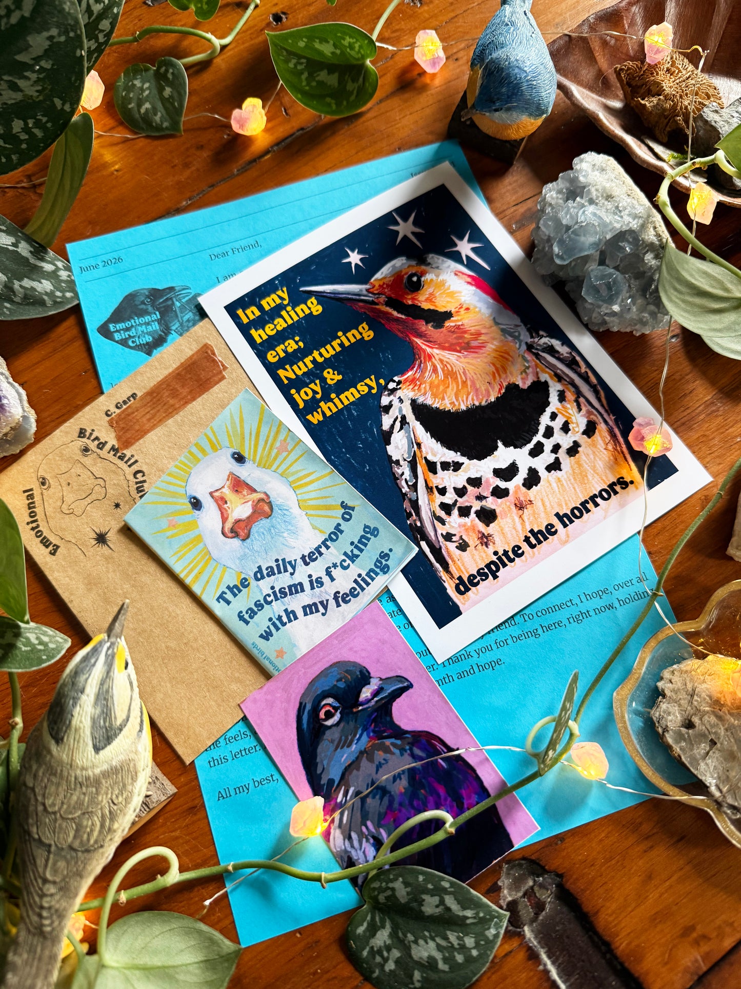 Emotional Birds Mail Club