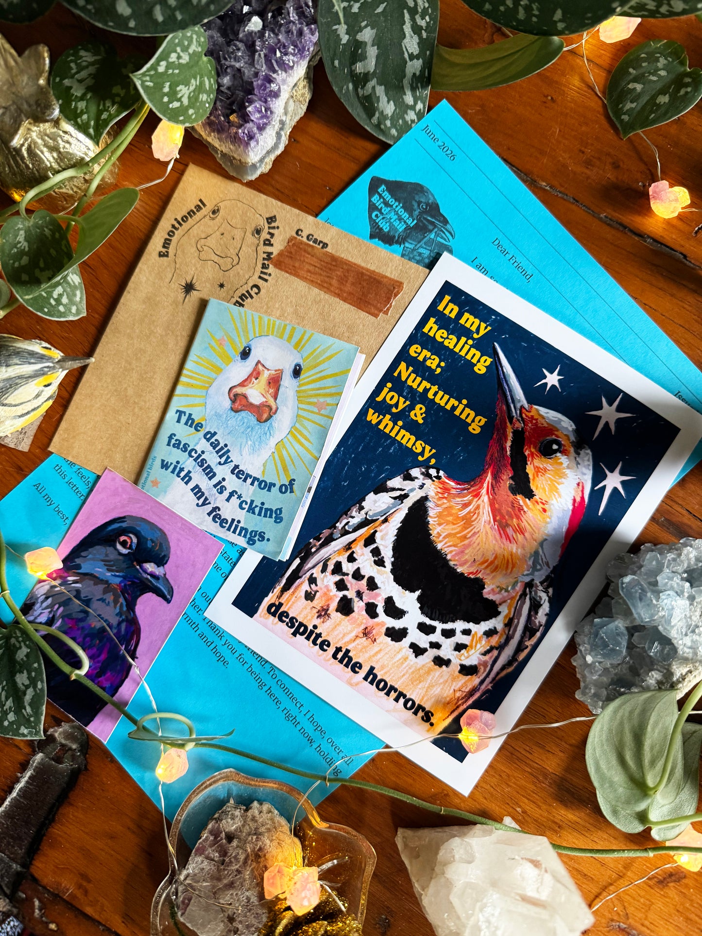 Emotional Birds Mail Club