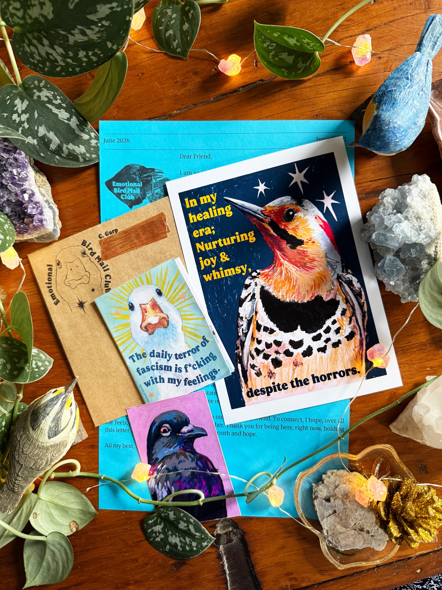 Emotional Birds Mail Club