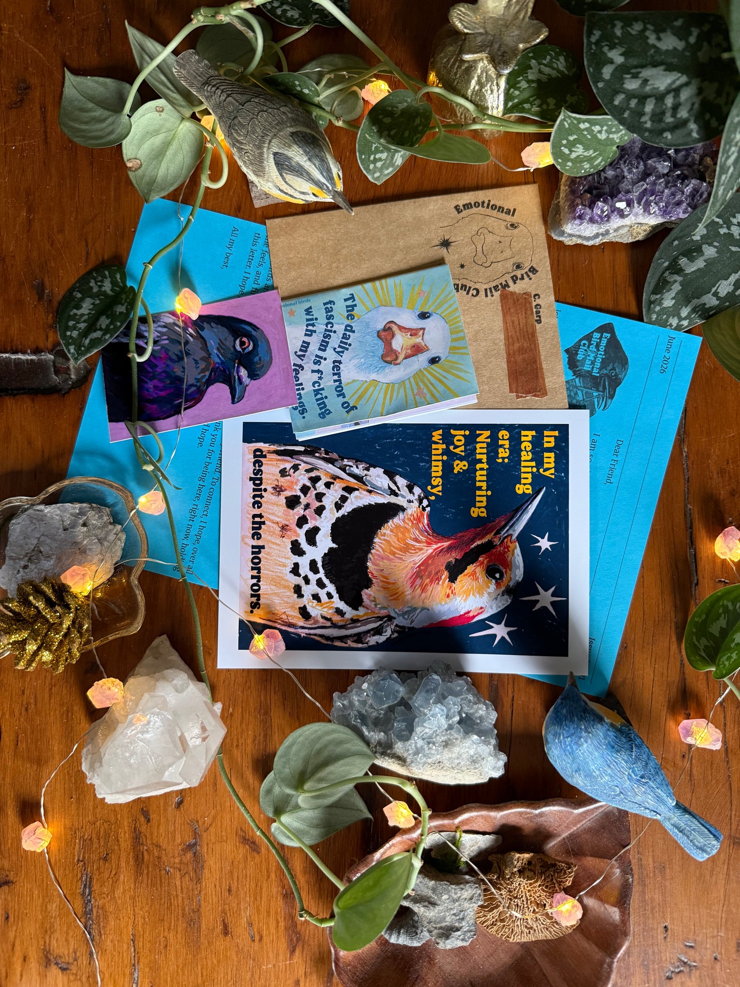 Emotional Birds Mail Club
