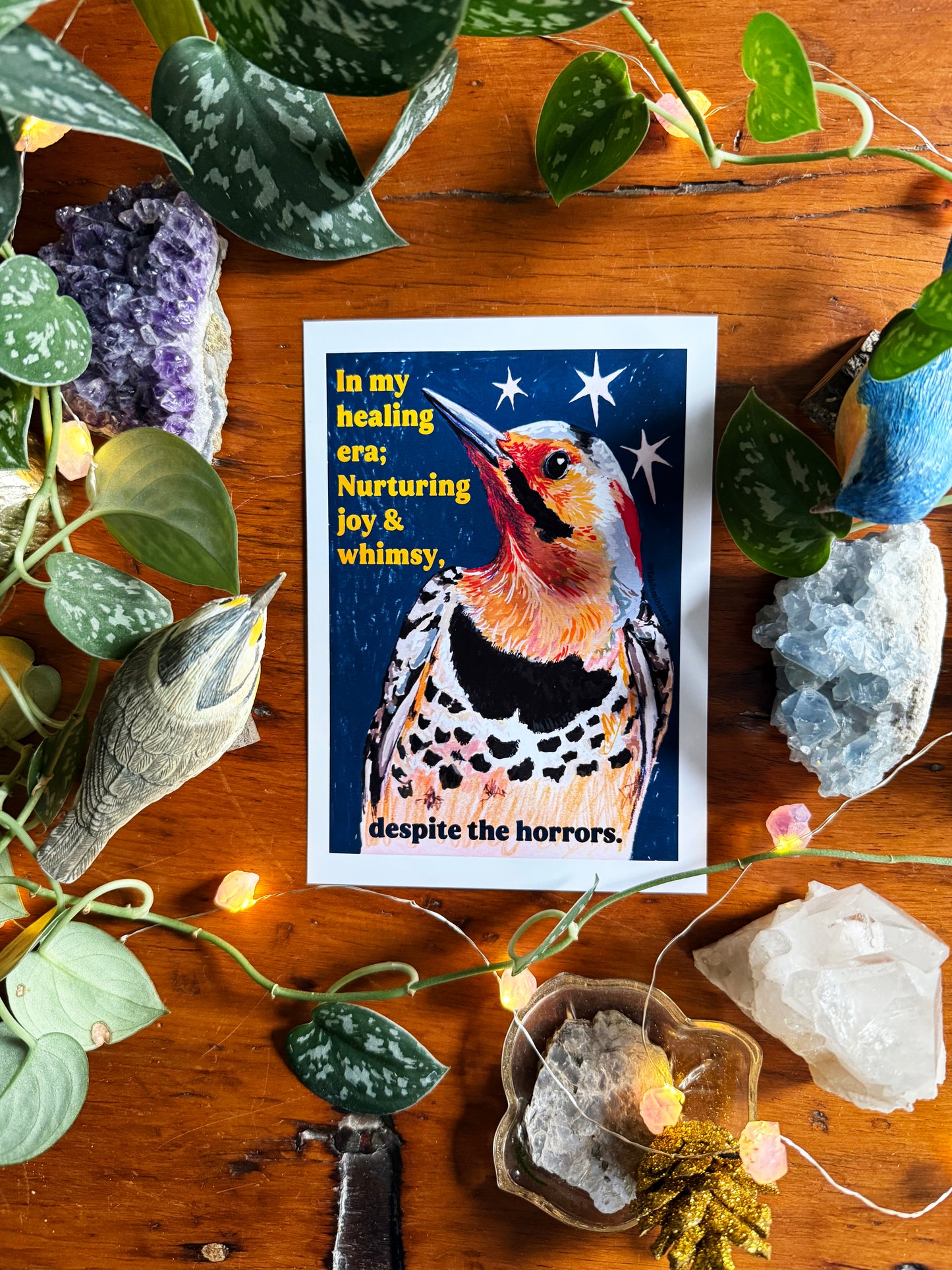 Emotional Birds Mail Club