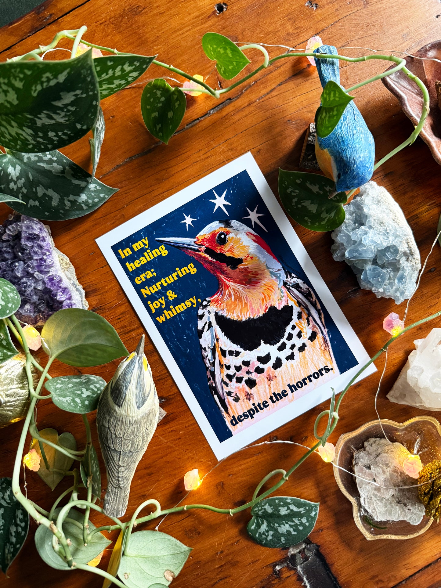 Emotional Birds Mail Club