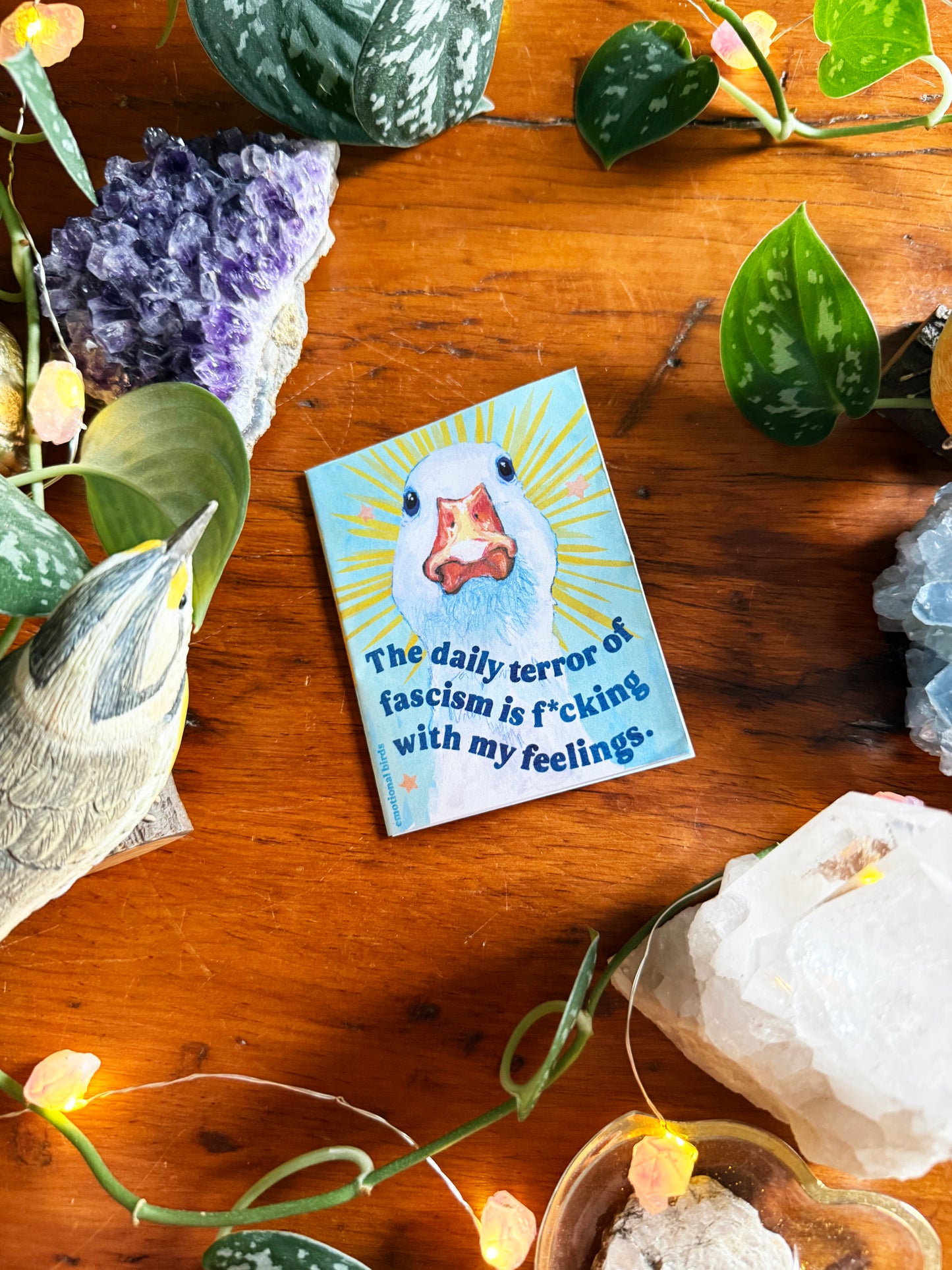 Emotional Birds Mail Club