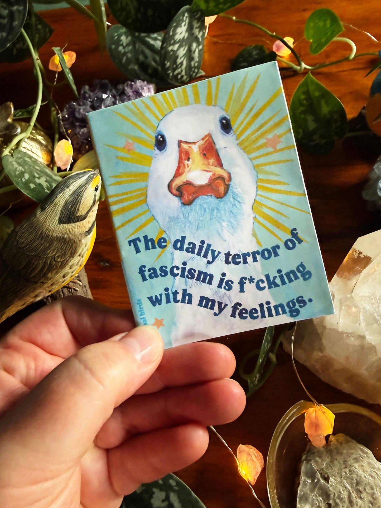 Emotional Birds Mail Club